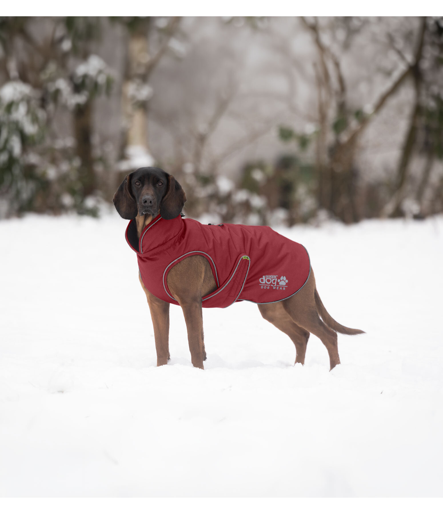 Manteau d'hiver pour chien  Archie Snow Drift, 200 g
