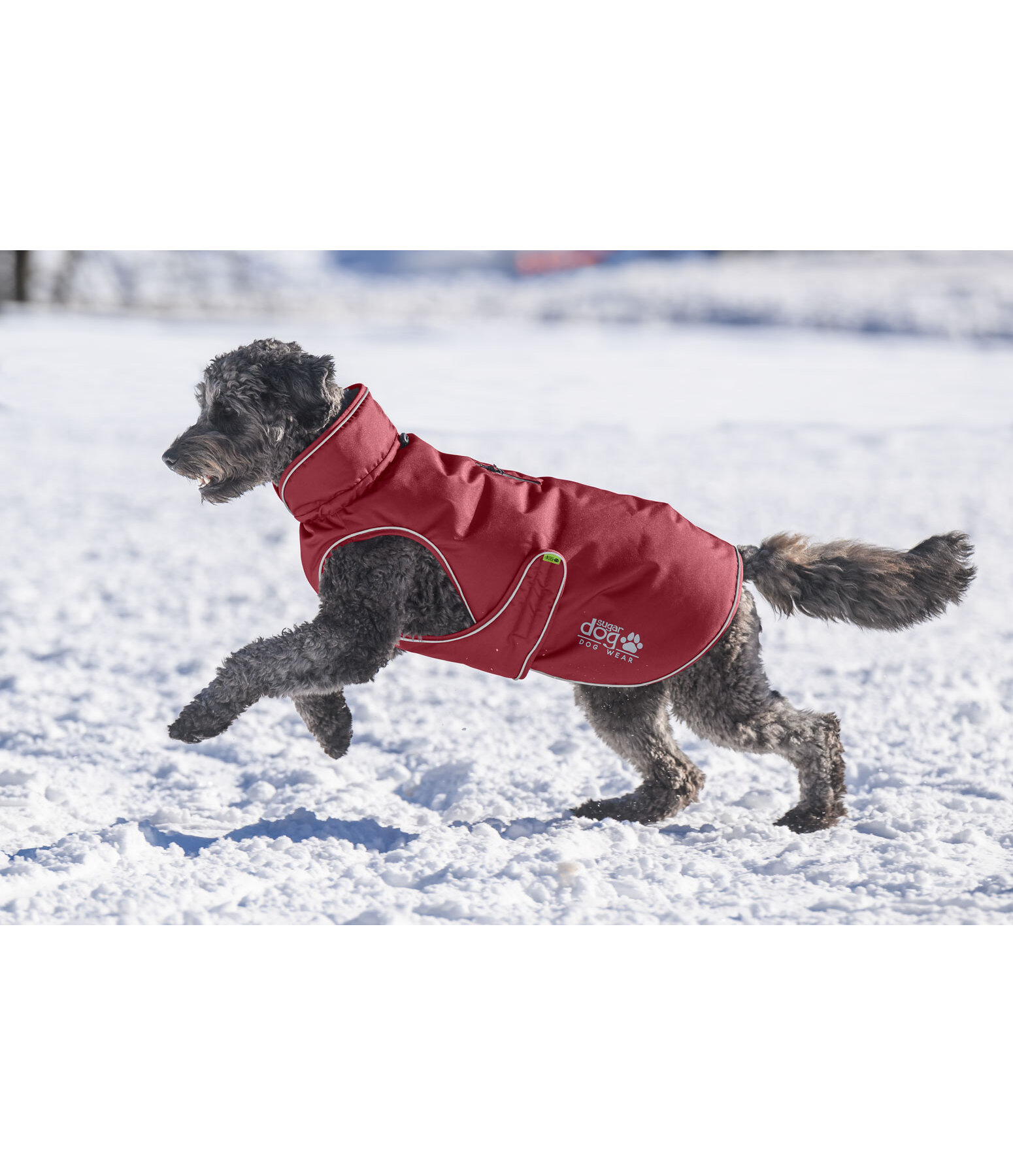 Manteau d'hiver pour chien  Archie Snow Drift, 200 g