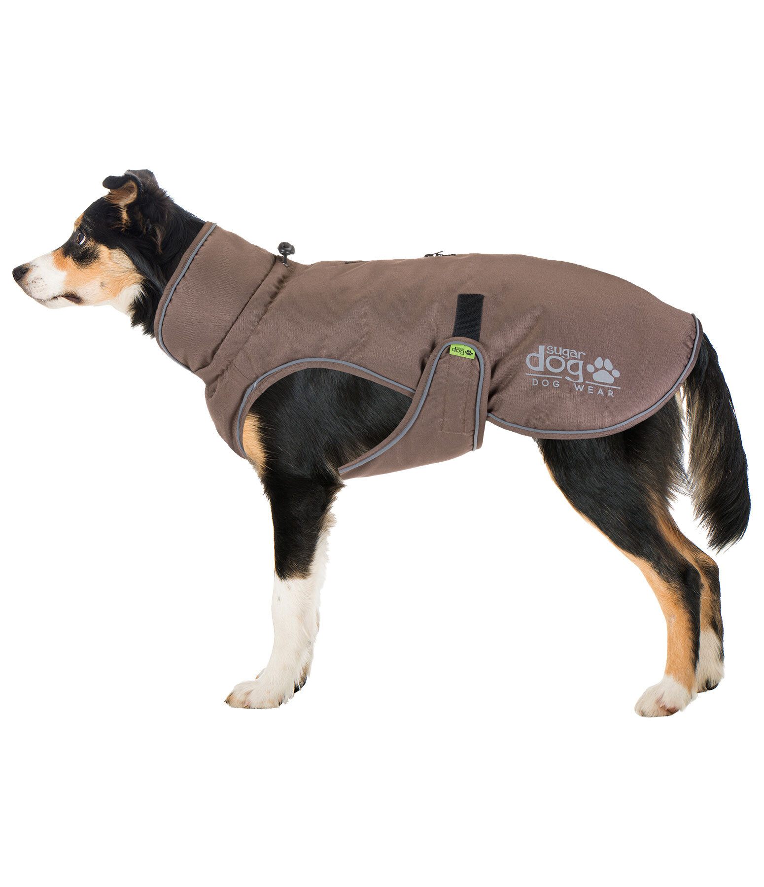 Manteau d'hiver pour chien  Archie Snow Drift, 200 g
