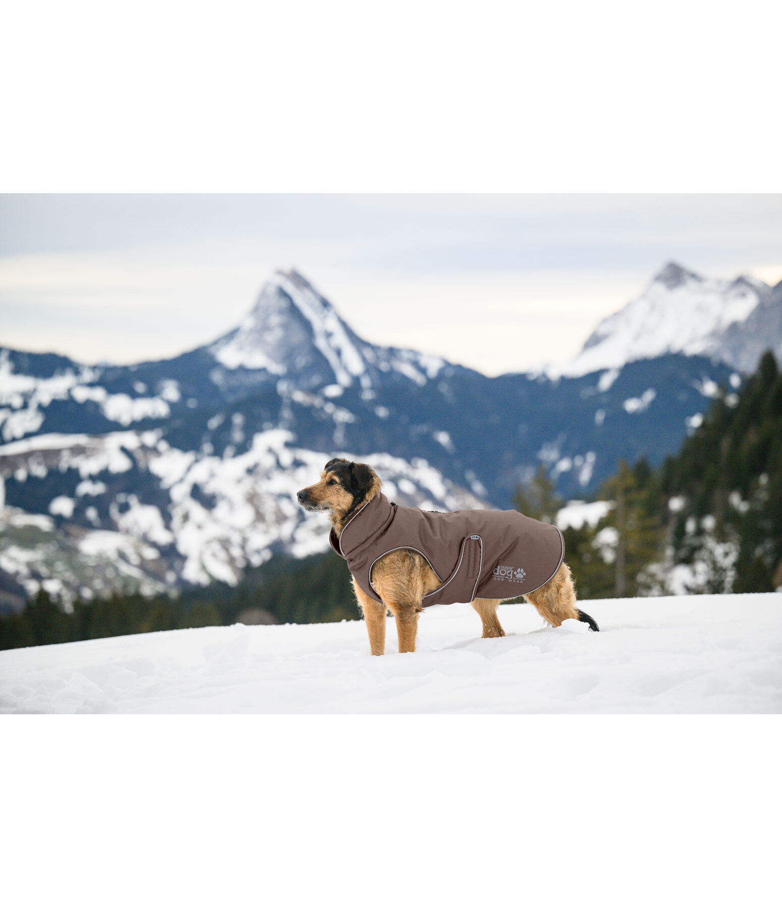 Manteau d'hiver pour chien  Archie Snow Drift, 200 g