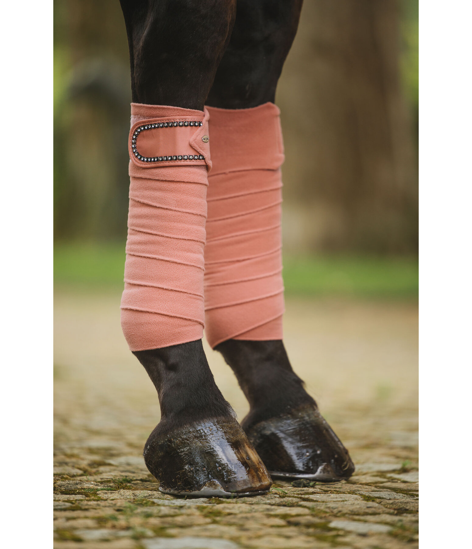 Bandes en polaire  Brilliant