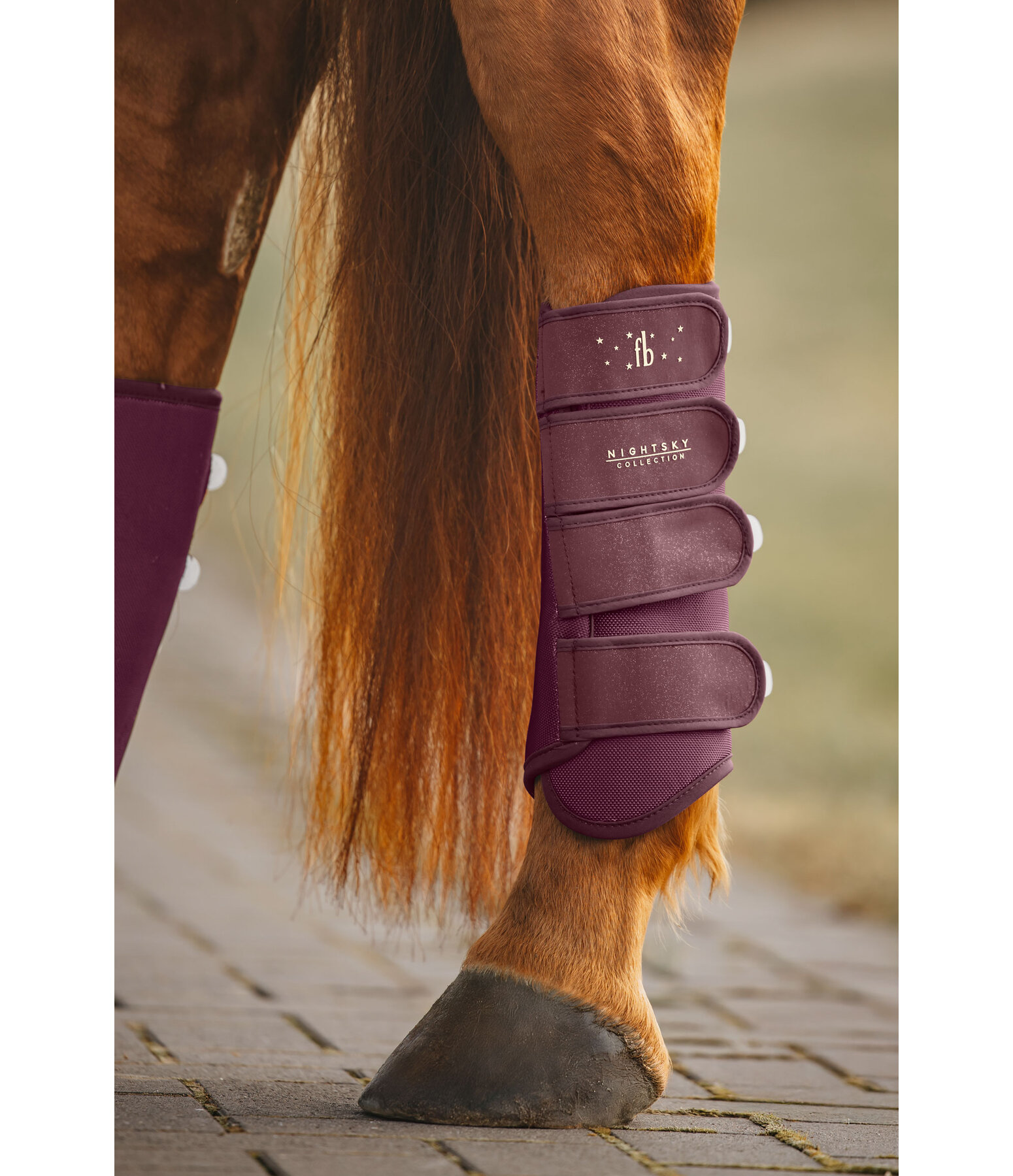 Gutres de travail  Night Sky, postrieurs