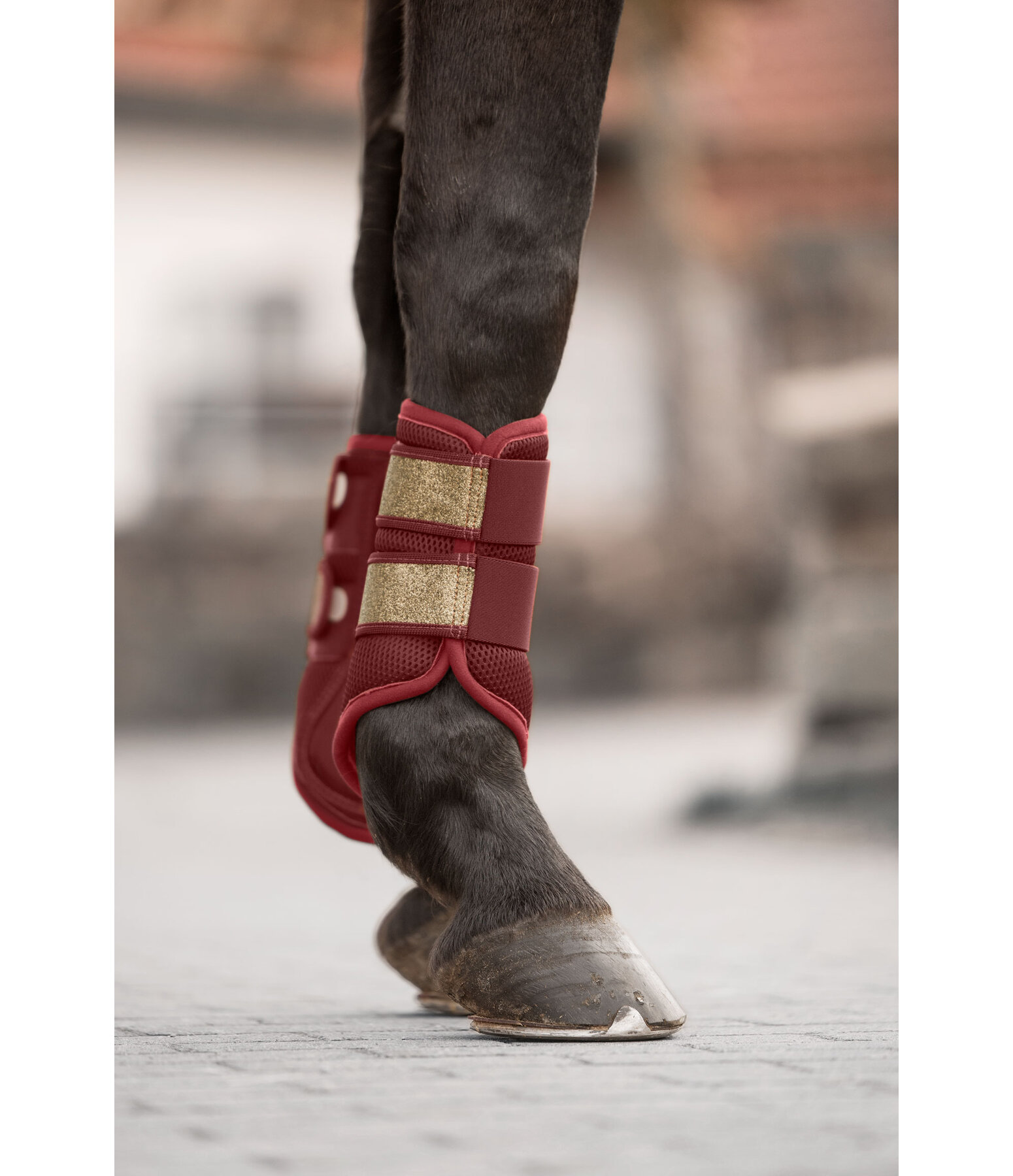 Gutres en mesh  Glitter, antrieurs