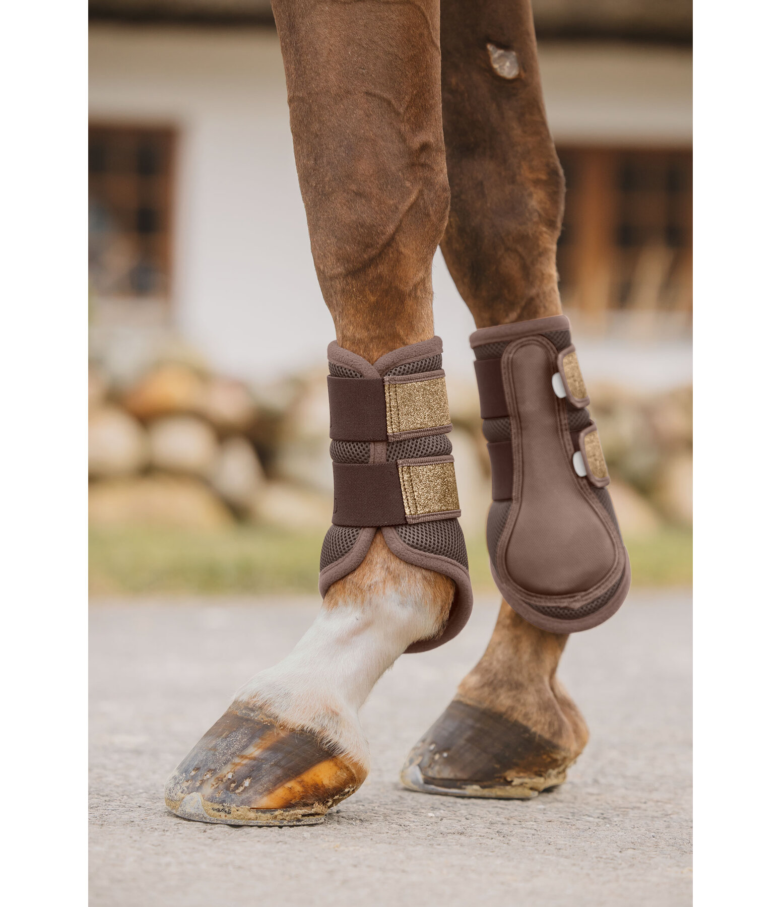 Gutres en mesh  Glitter, antrieurs