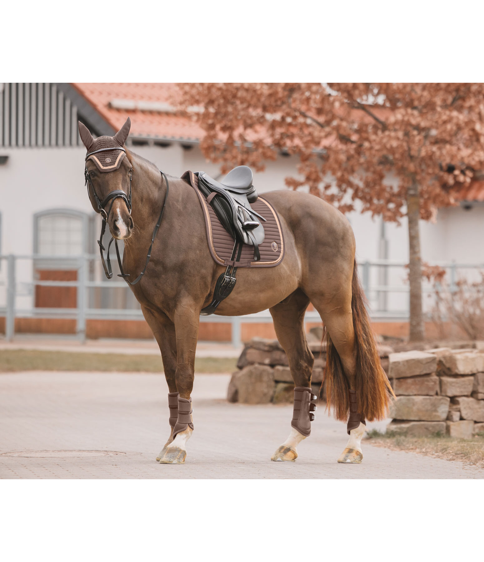 Gutres en mesh  Glitter, antrieurs