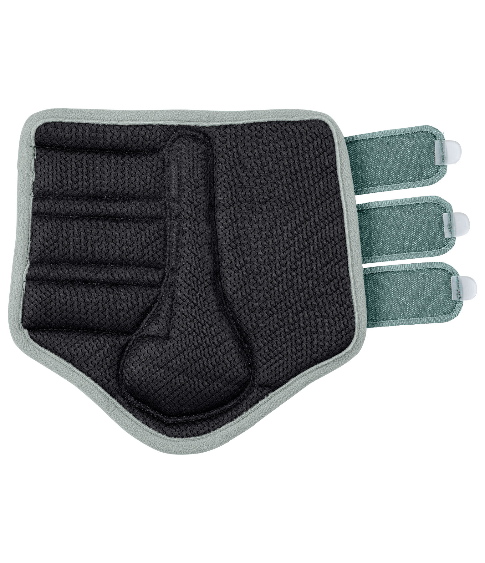 Gutres en mesh  Glitter, postrieurs