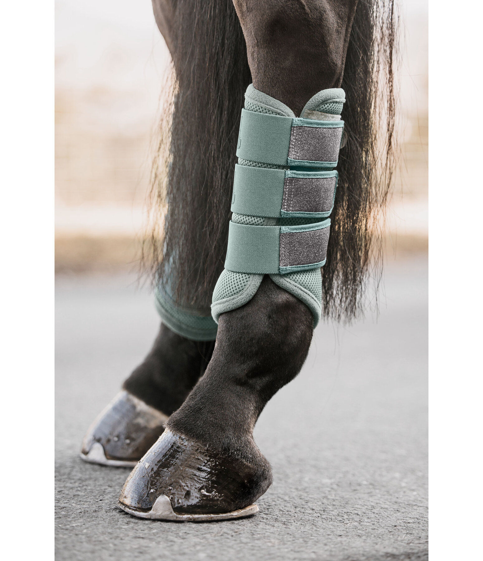 Gutres en mesh  Glitter, postrieurs