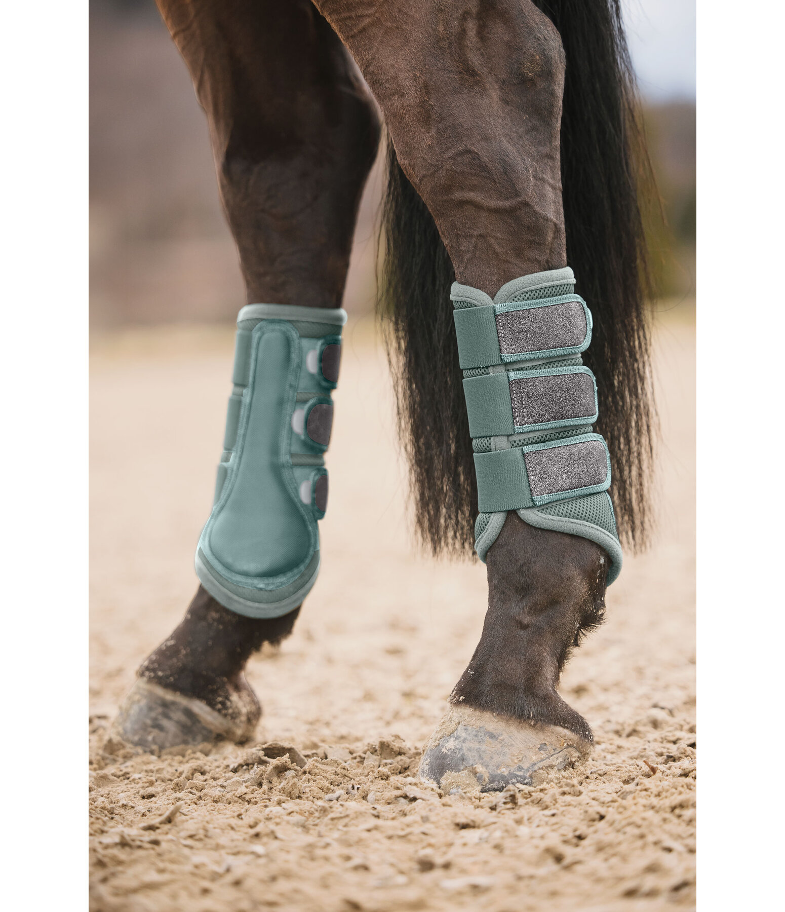 Gutres en mesh  Glitter, postrieurs