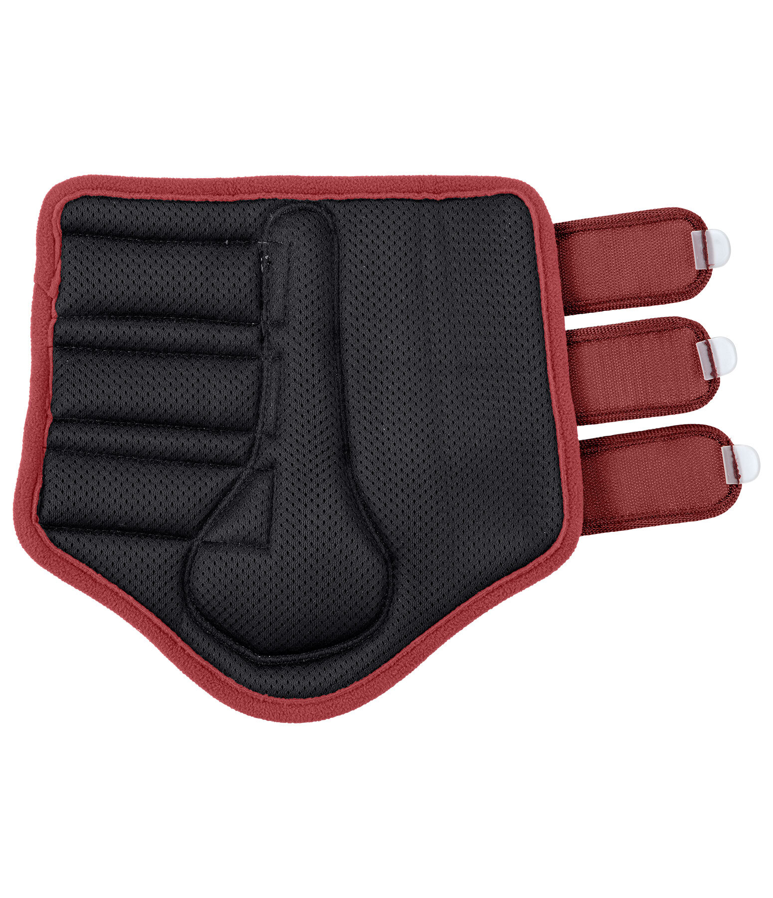 Gutres en mesh  Glitter, postrieurs