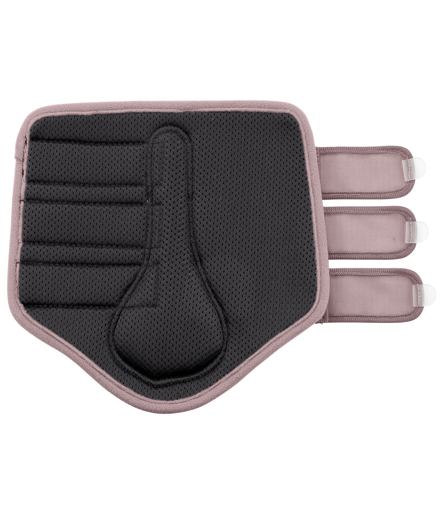 Gu�tres en mesh  Glitter, post�rieurs