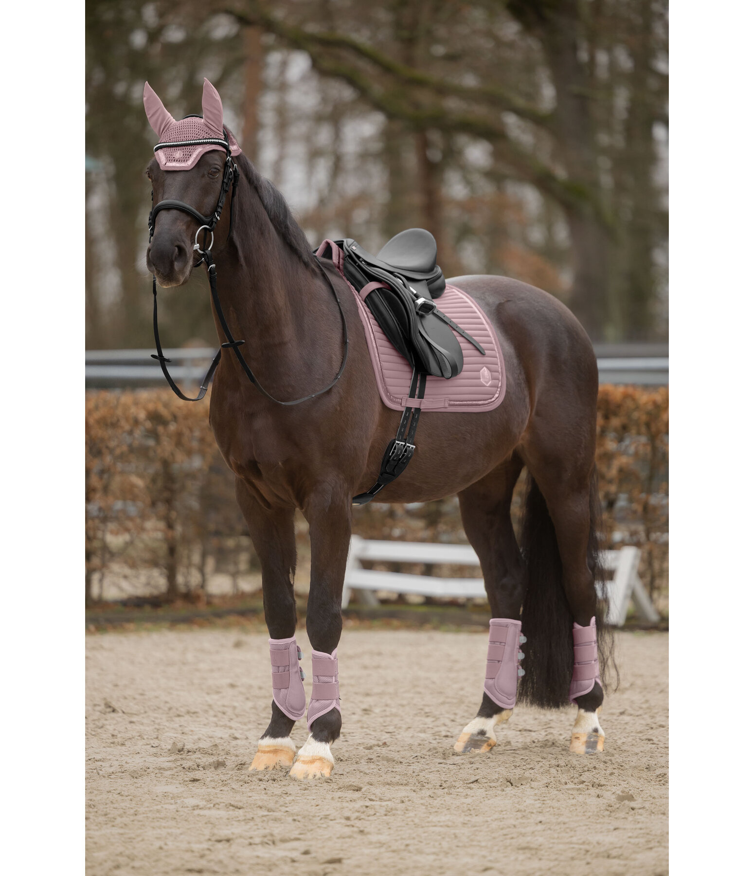 Gu�tres en mesh  Glitter, post�rieurs