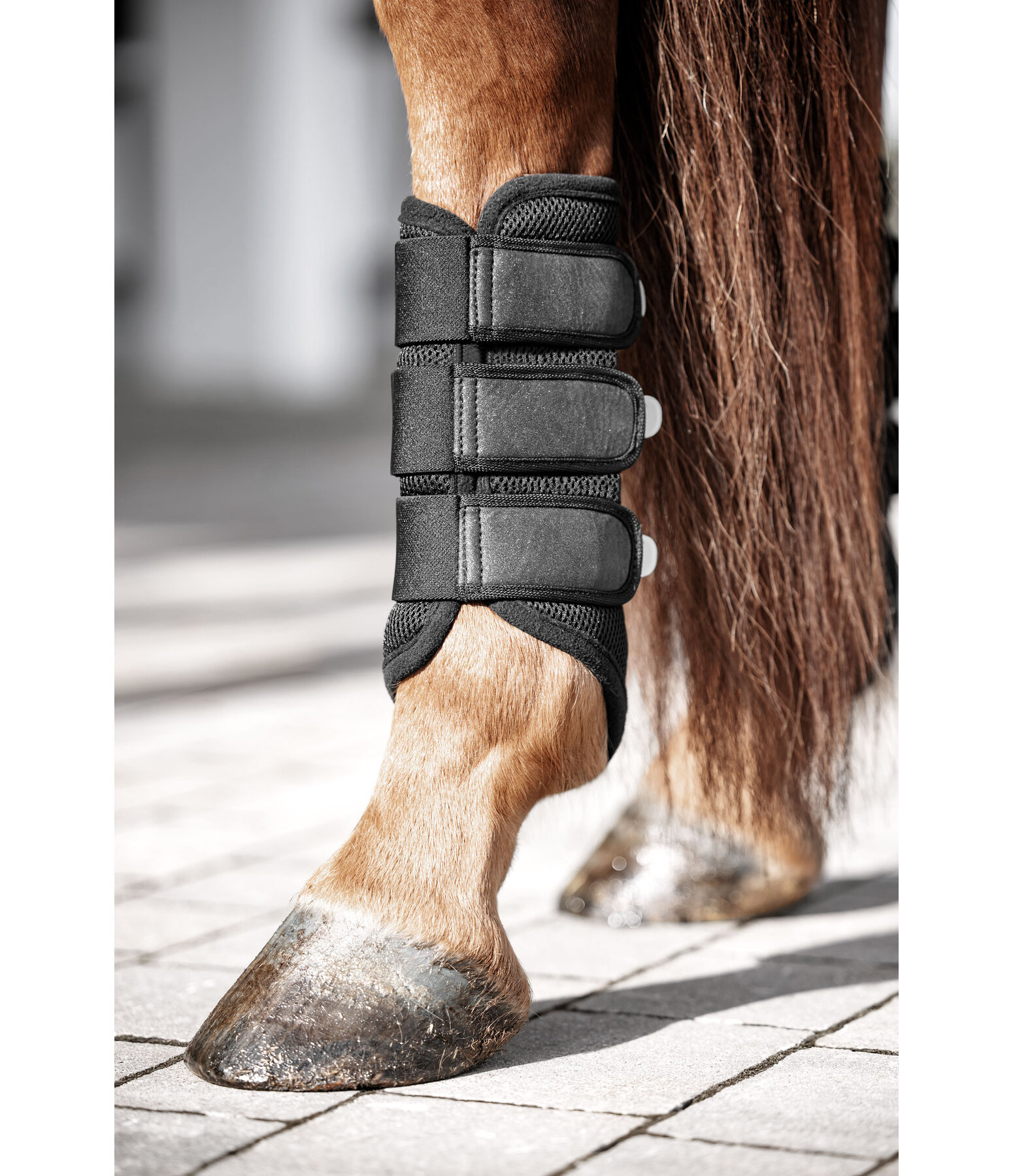 Gutres en mesh  Glitter, postrieurs