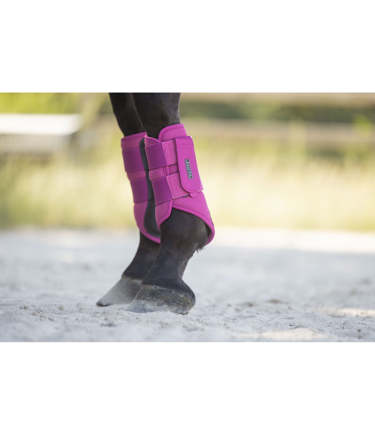 Gu�tres techniques  Mesh-Technology (ant�rieurs)