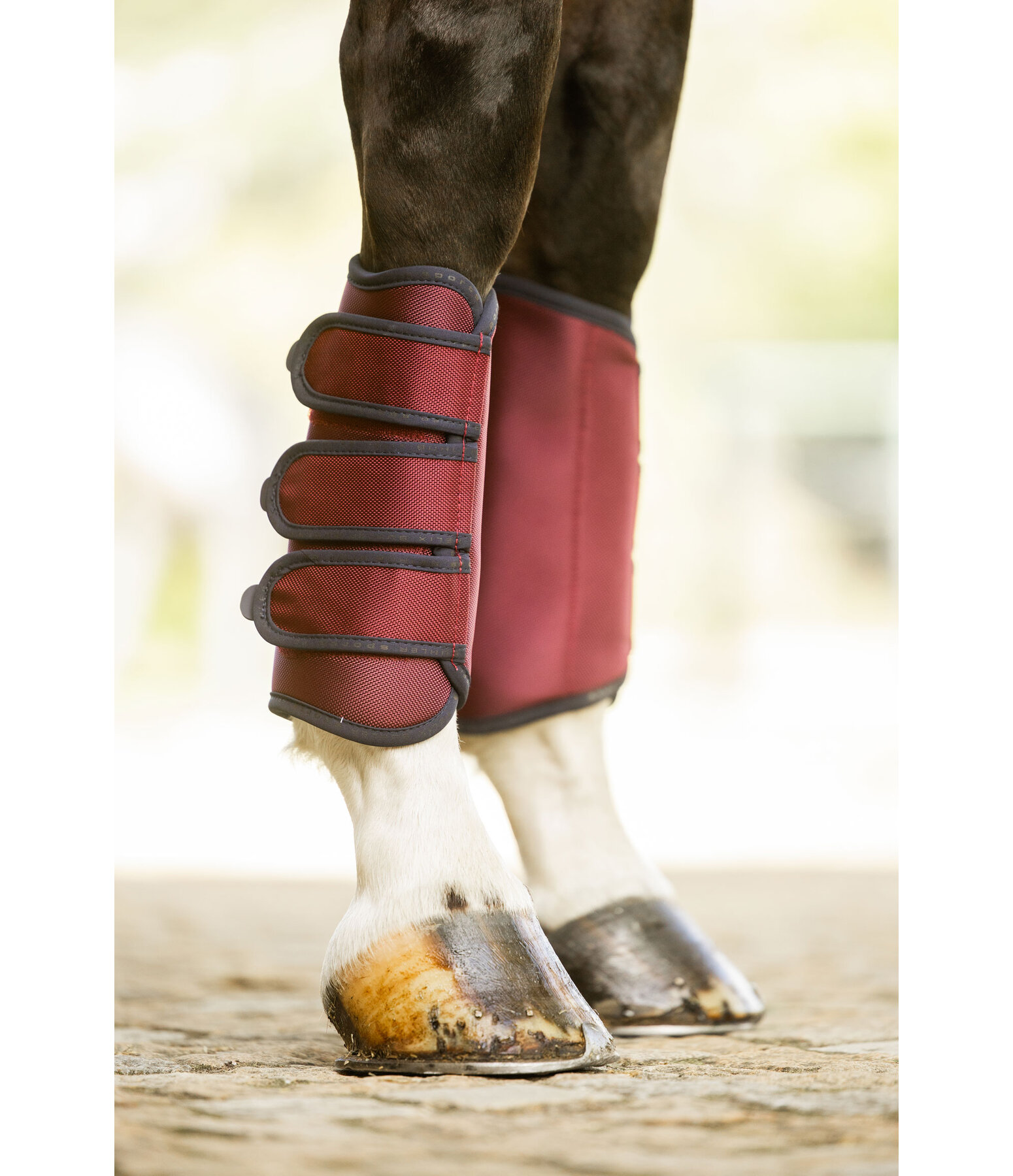 Gu�tres de dressage  Twotone (ant�rieurs)