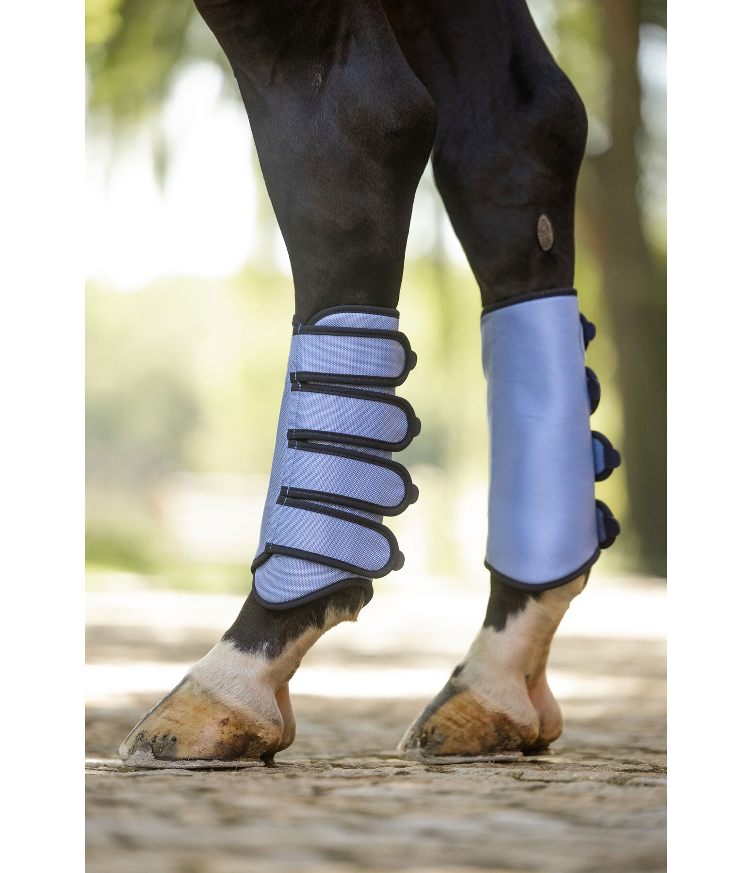 Gu�tres de dressage  Twotone (post�rieurs)