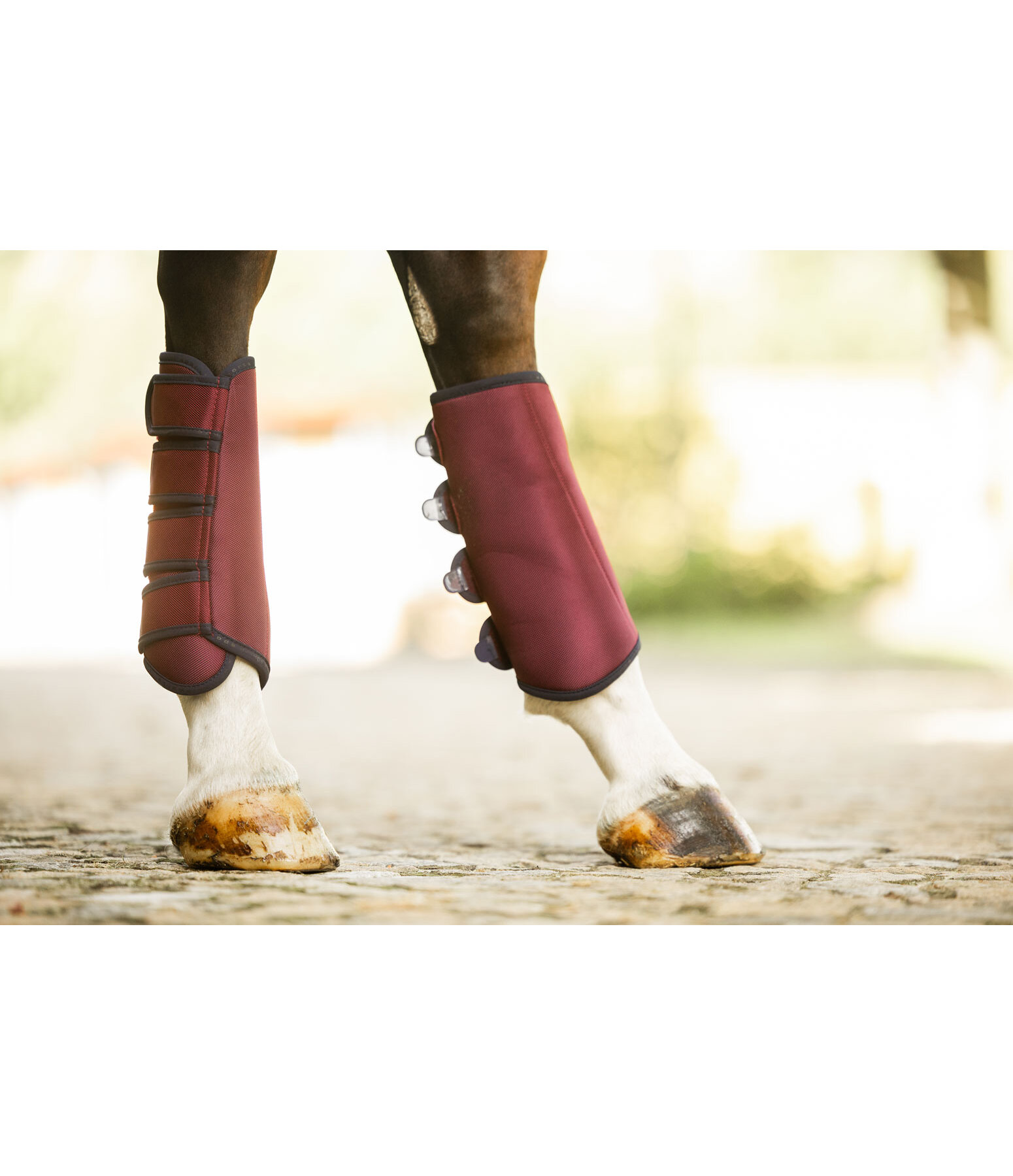 Gu�tres de dressage  Twotone (post�rieurs)