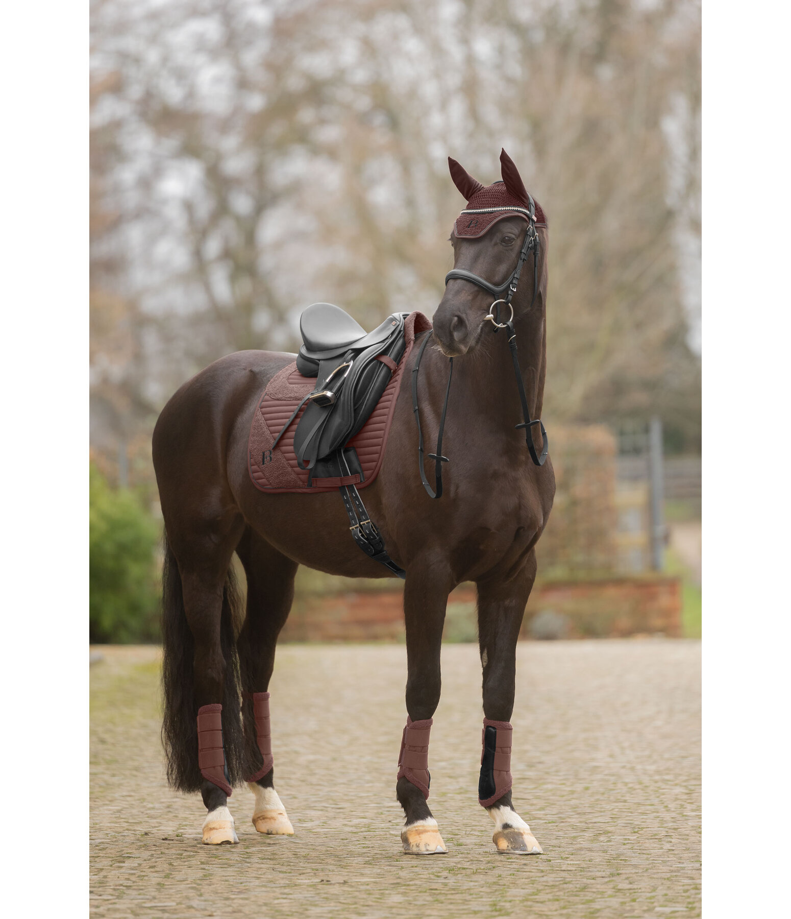 Gu�tres  Teddy, ant�rieurs