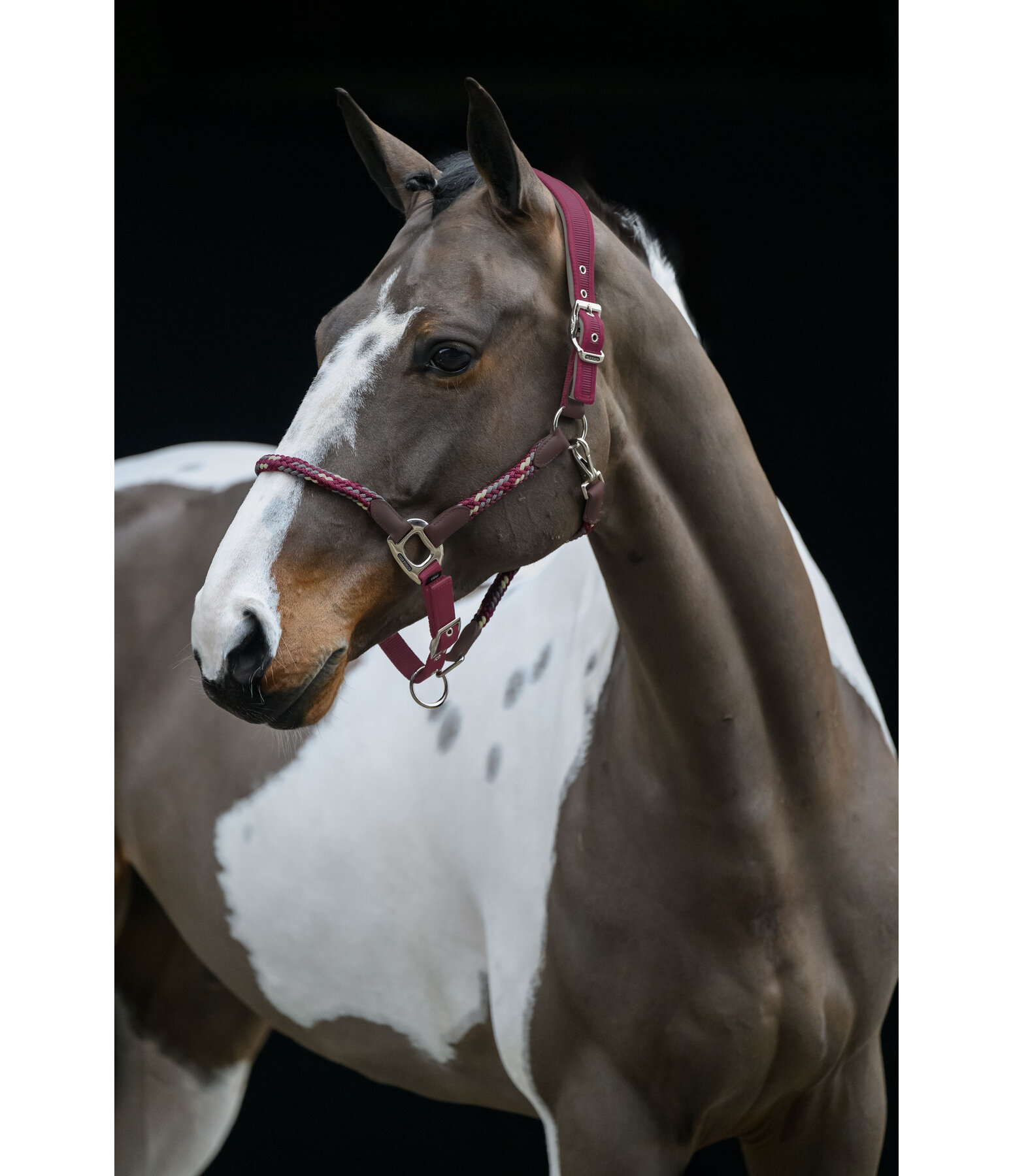 Licol anatomique  Sophistication