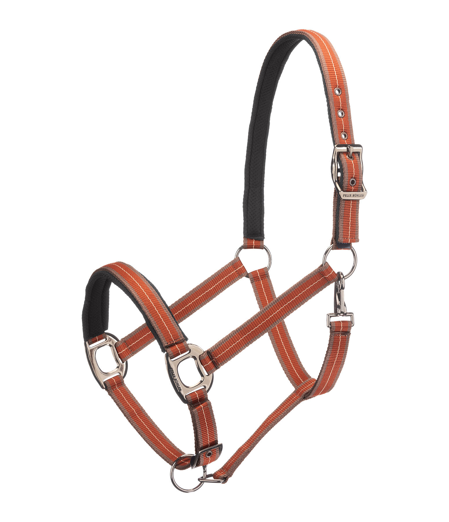 Licol  Swiss Design II