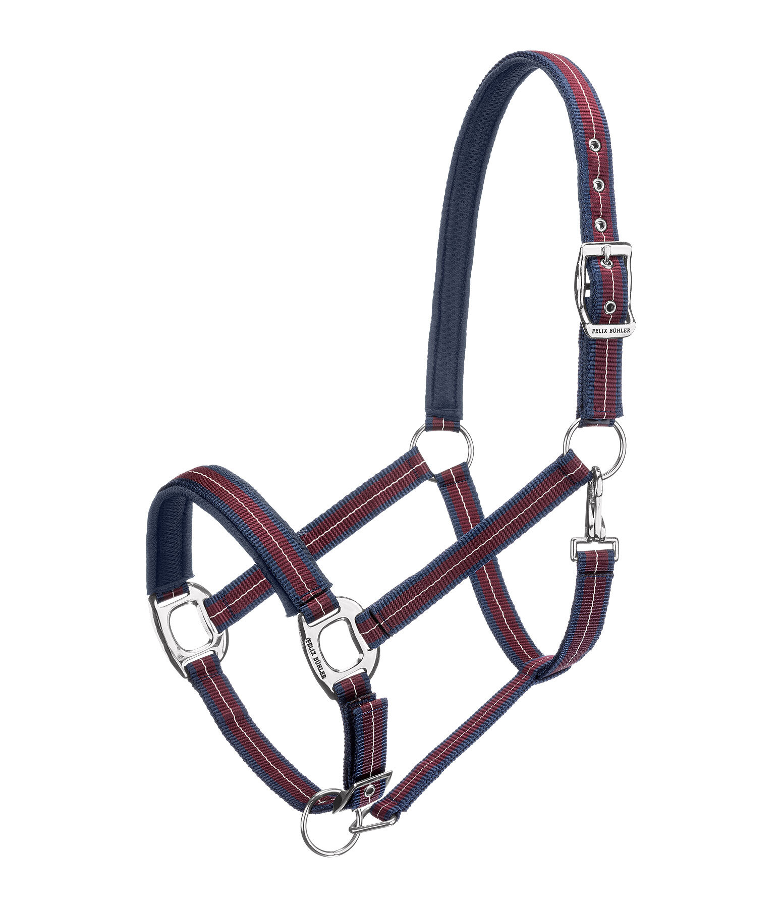 Licol  Swiss Design II