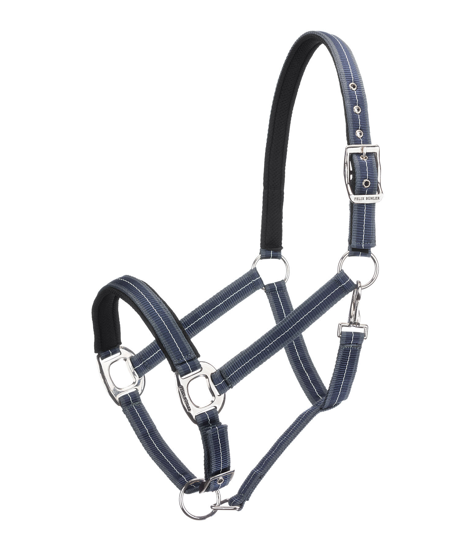 Licol  Swiss Design II