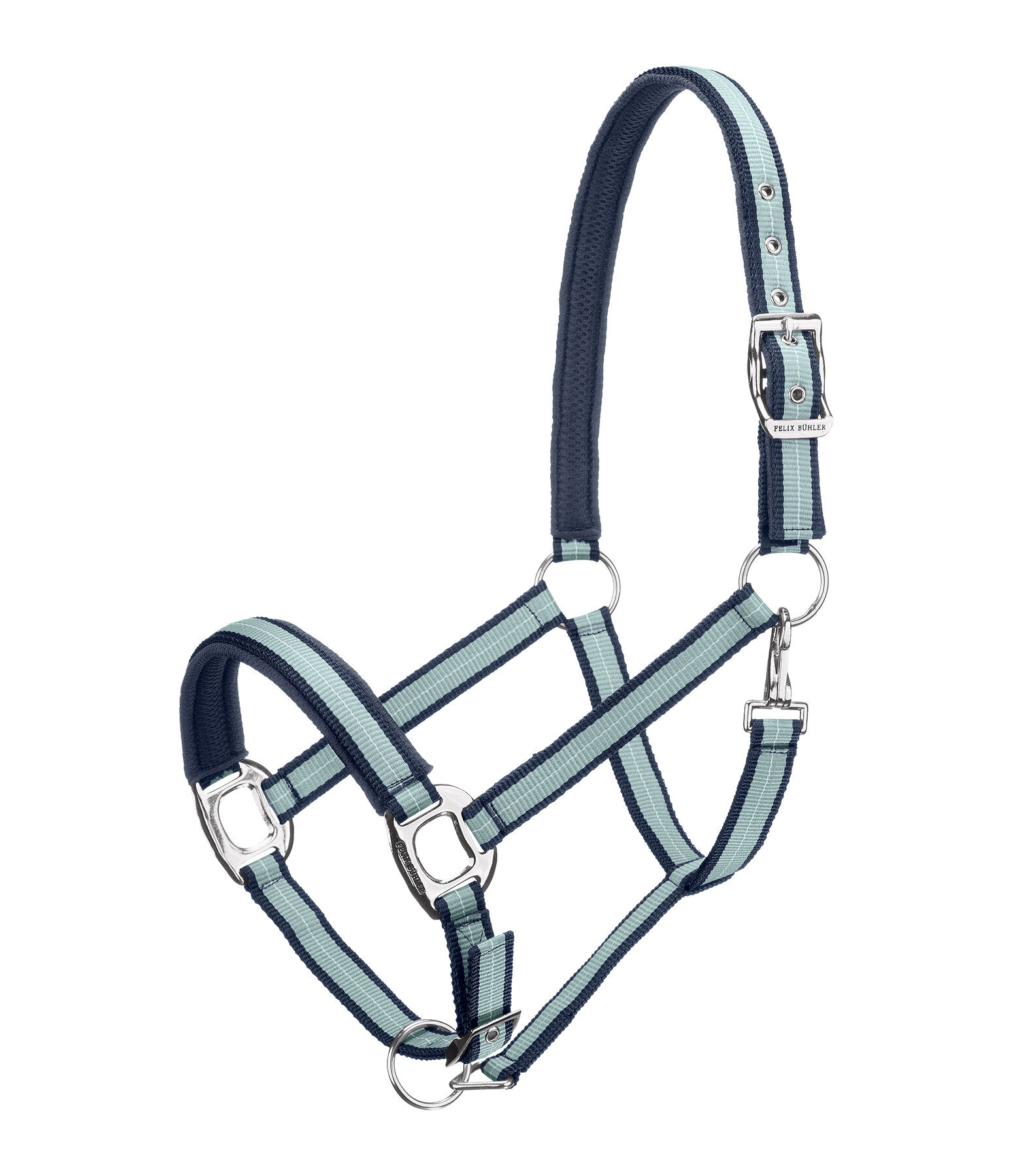 Licol  Swiss Design II