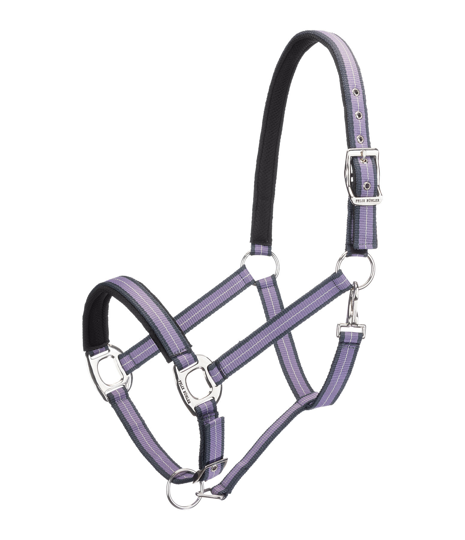 Licol  Swiss Design II