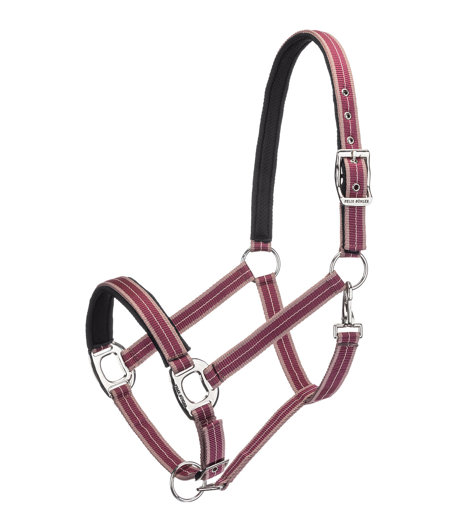 Licol  Swiss Design II