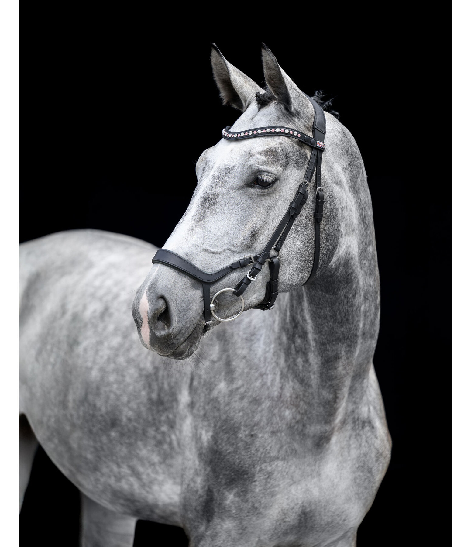 Muserolle en cuir  Mix & Match Revolution