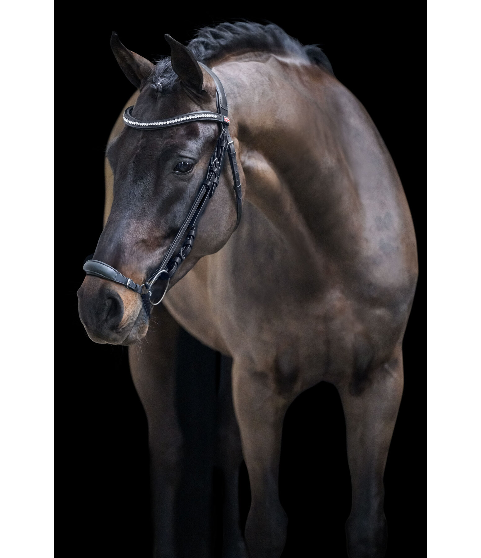 Bridon avec muserolle allemande  Perfect Fit