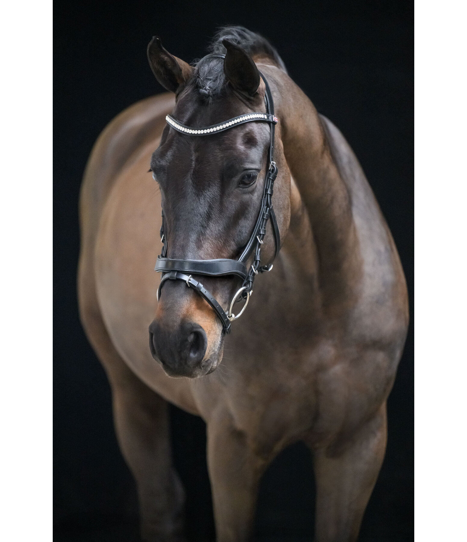 Bridon avec noseband amovible  Berlin