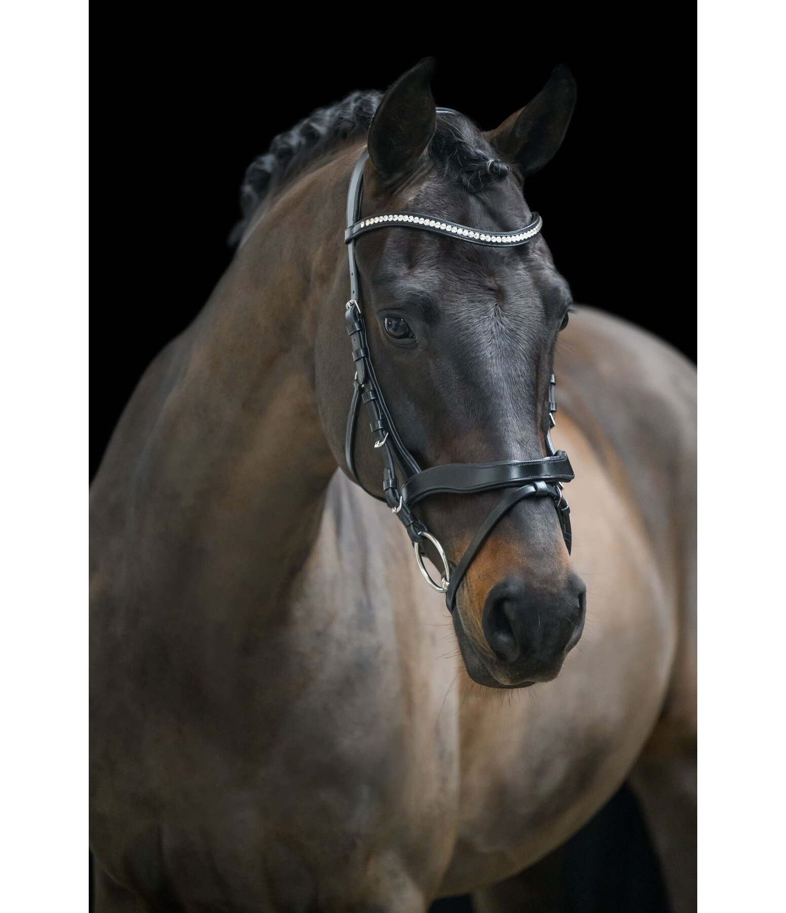 Bridon avec noseband amovible  Berlin