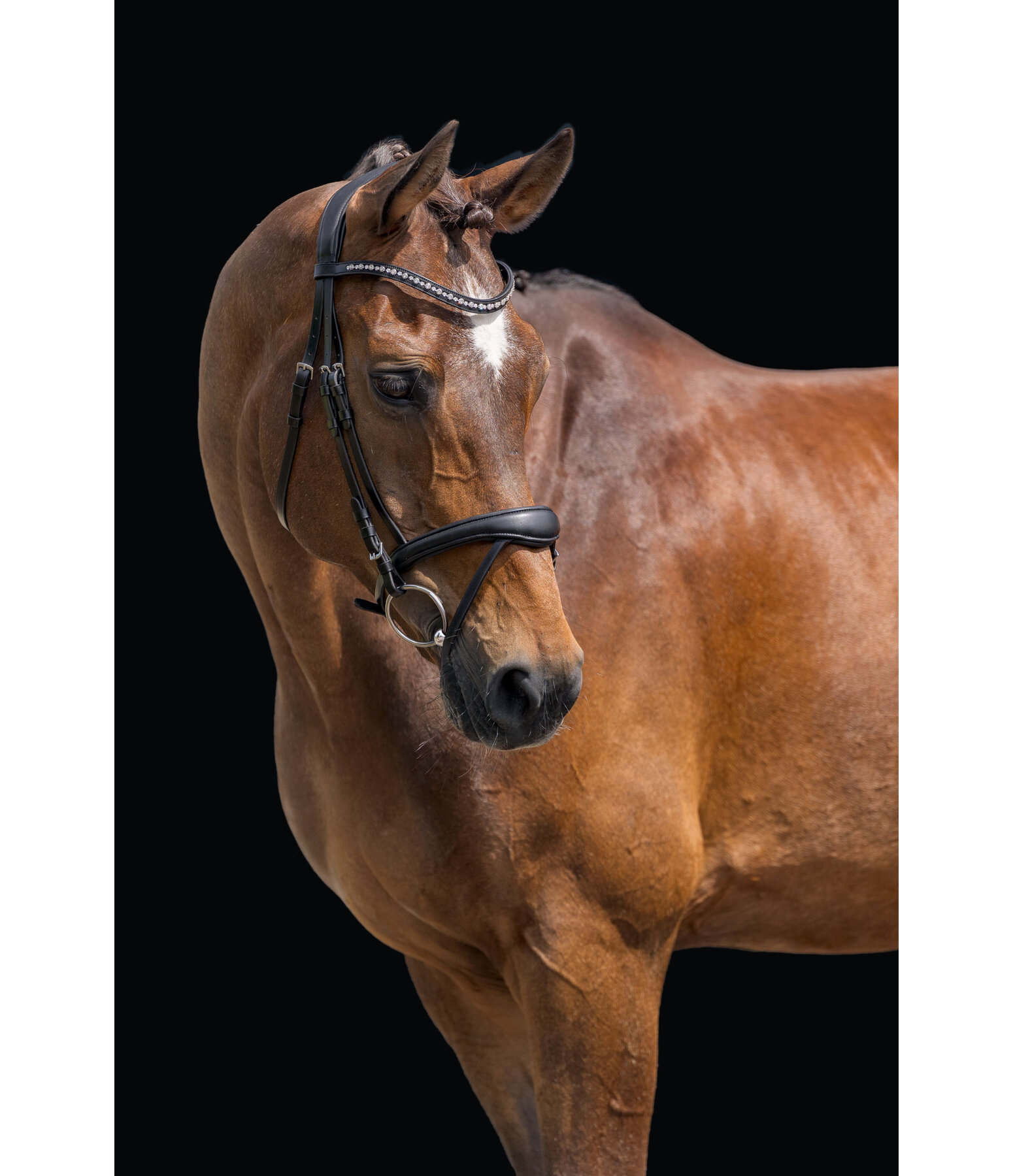 Bridon avec noseband amovible  Alaska