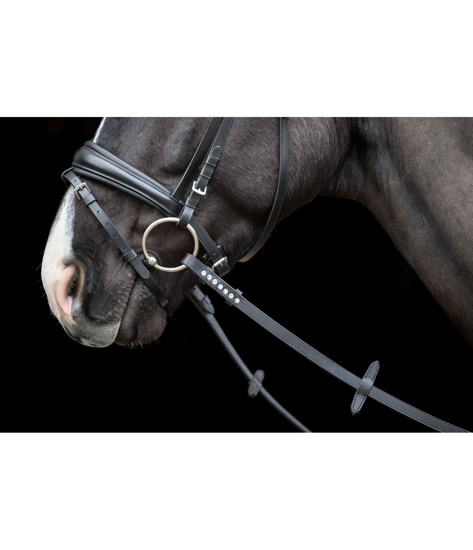 R�nes sangle avec cuir  Crystal