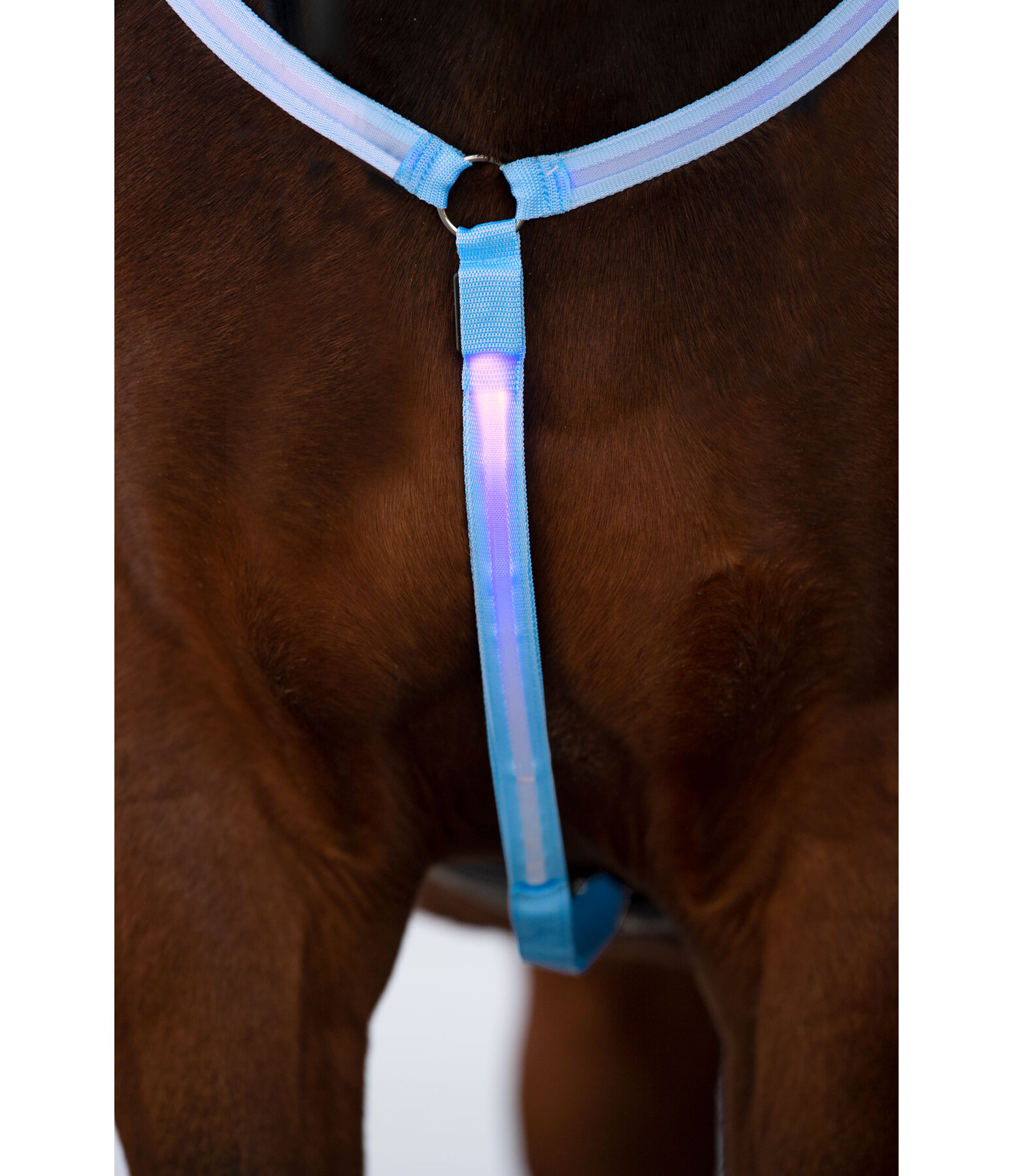 Collier de chasse LED  Loom