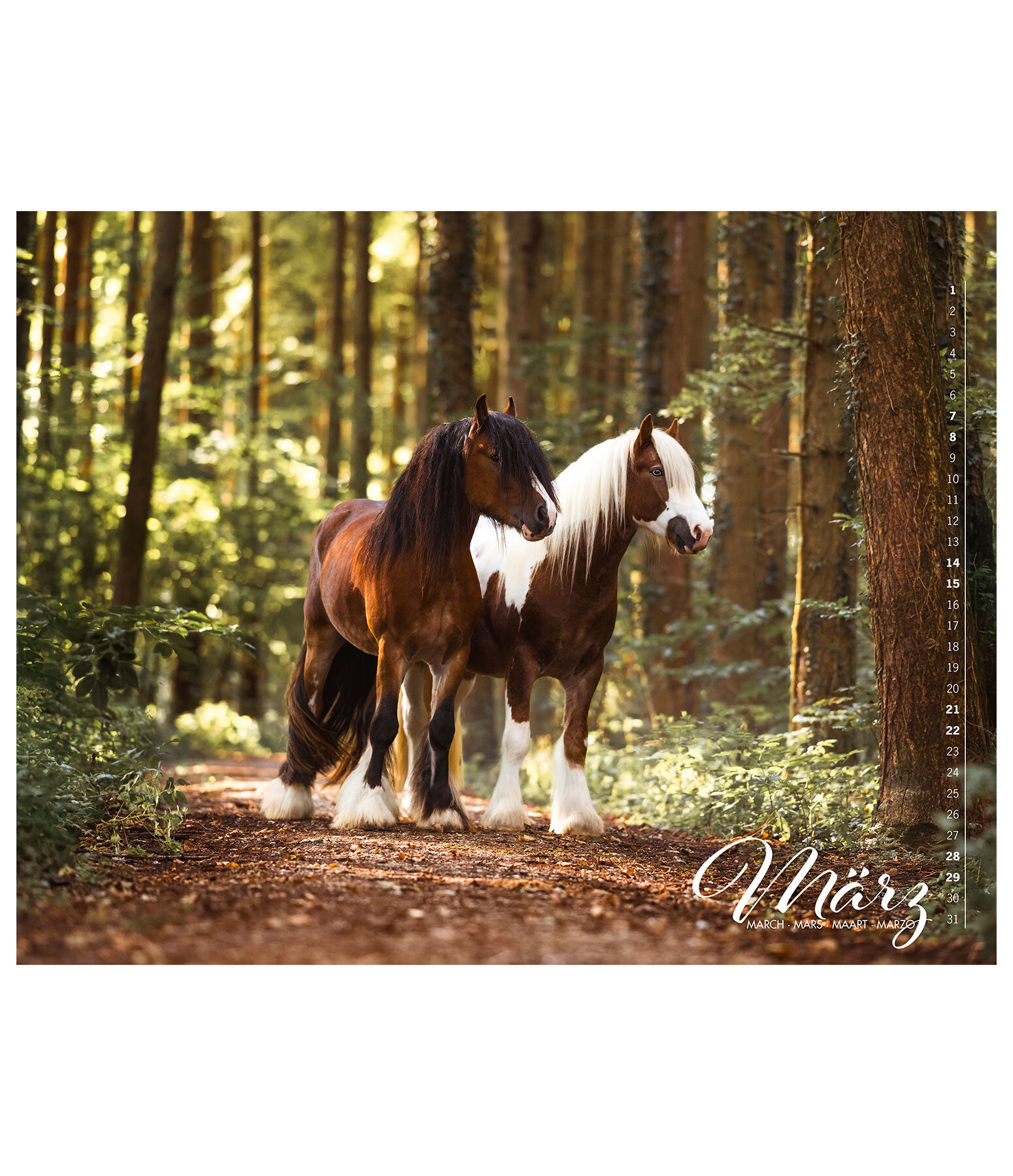 Calendrier Irish Cob 2026