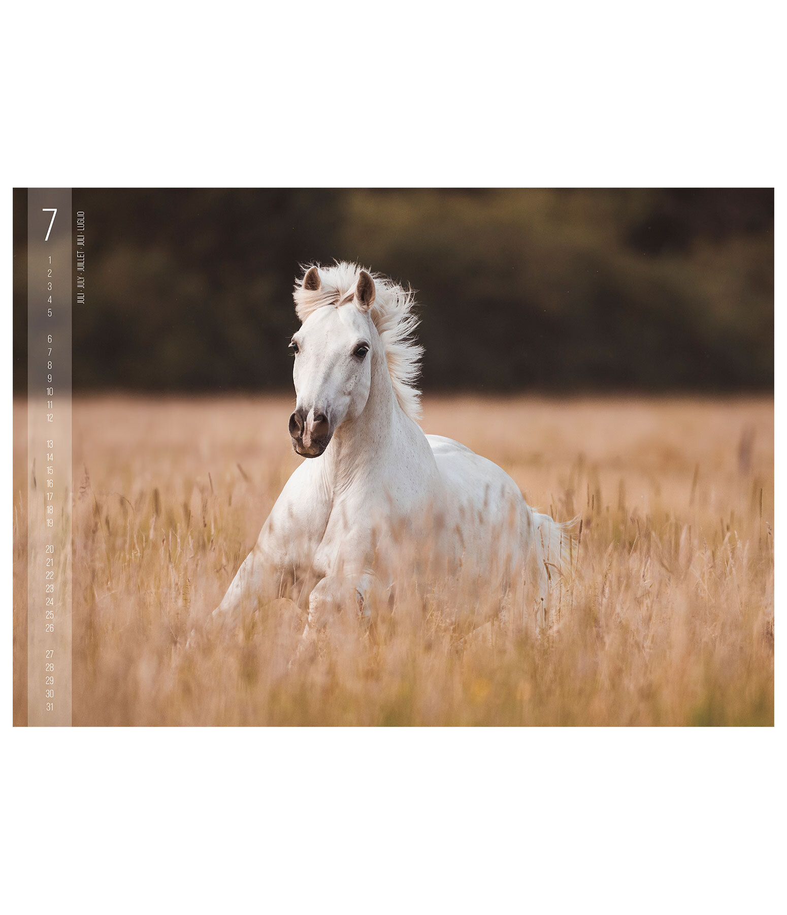 Calendriers 2026 Chevaux