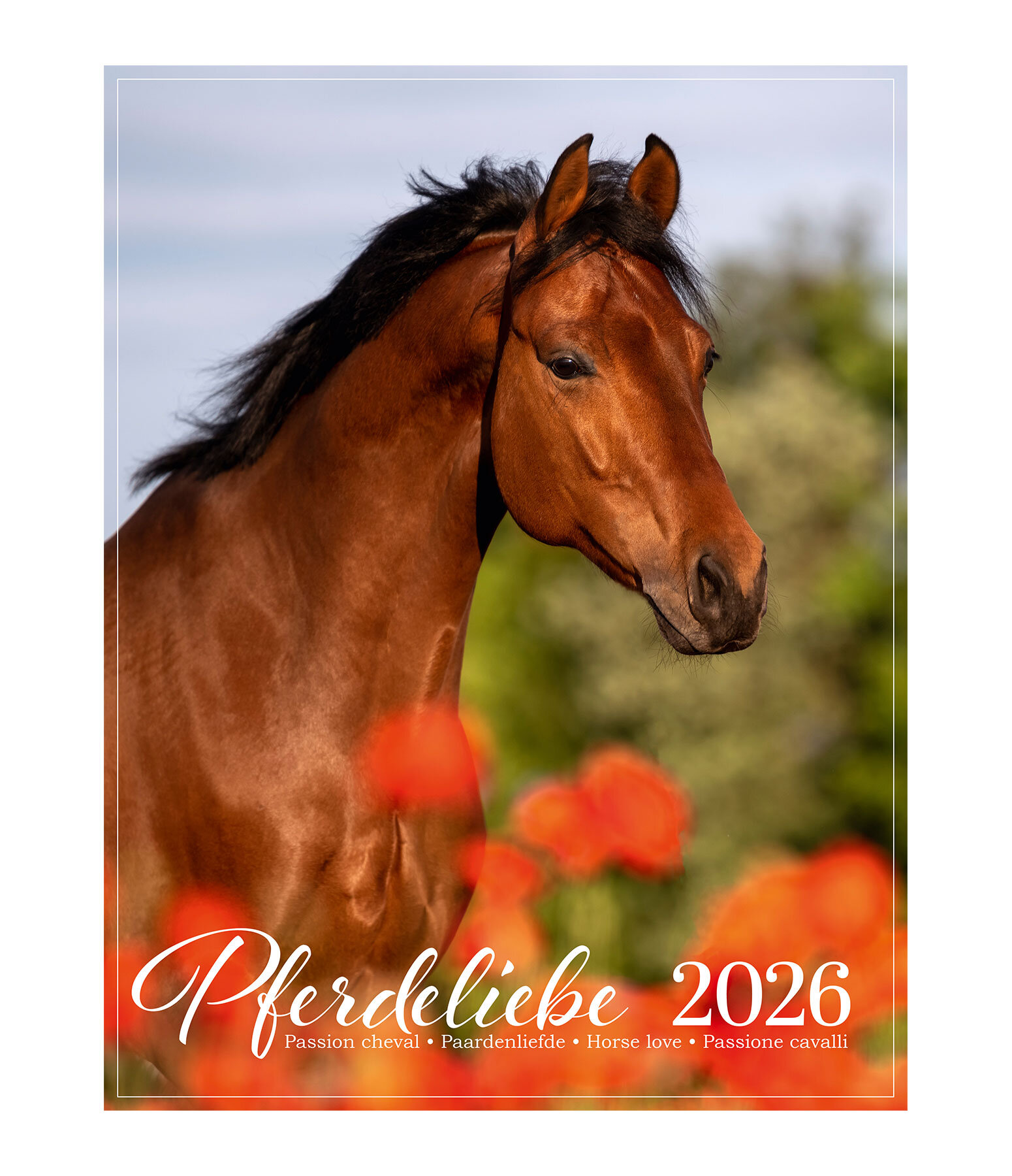 Calendrier 2026 L�amour du cheval