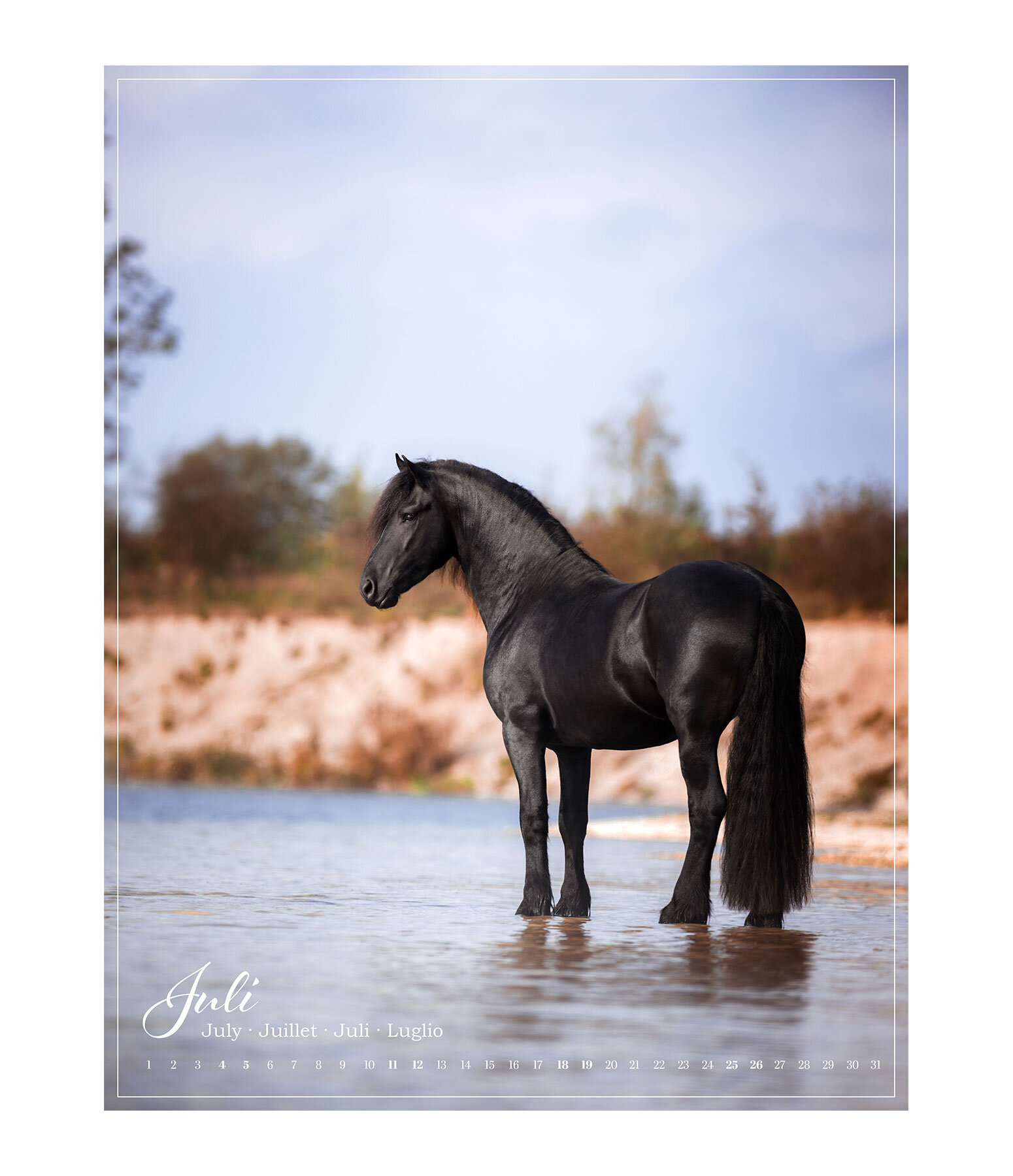 Calendrier 2026 L�amour du cheval