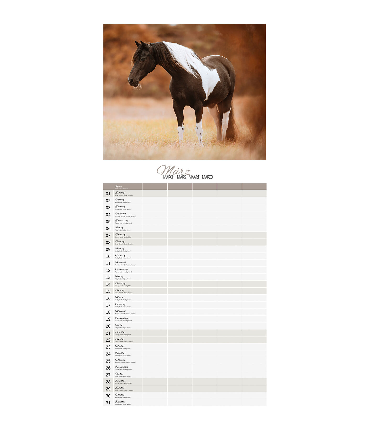 Calendrier familial 2026