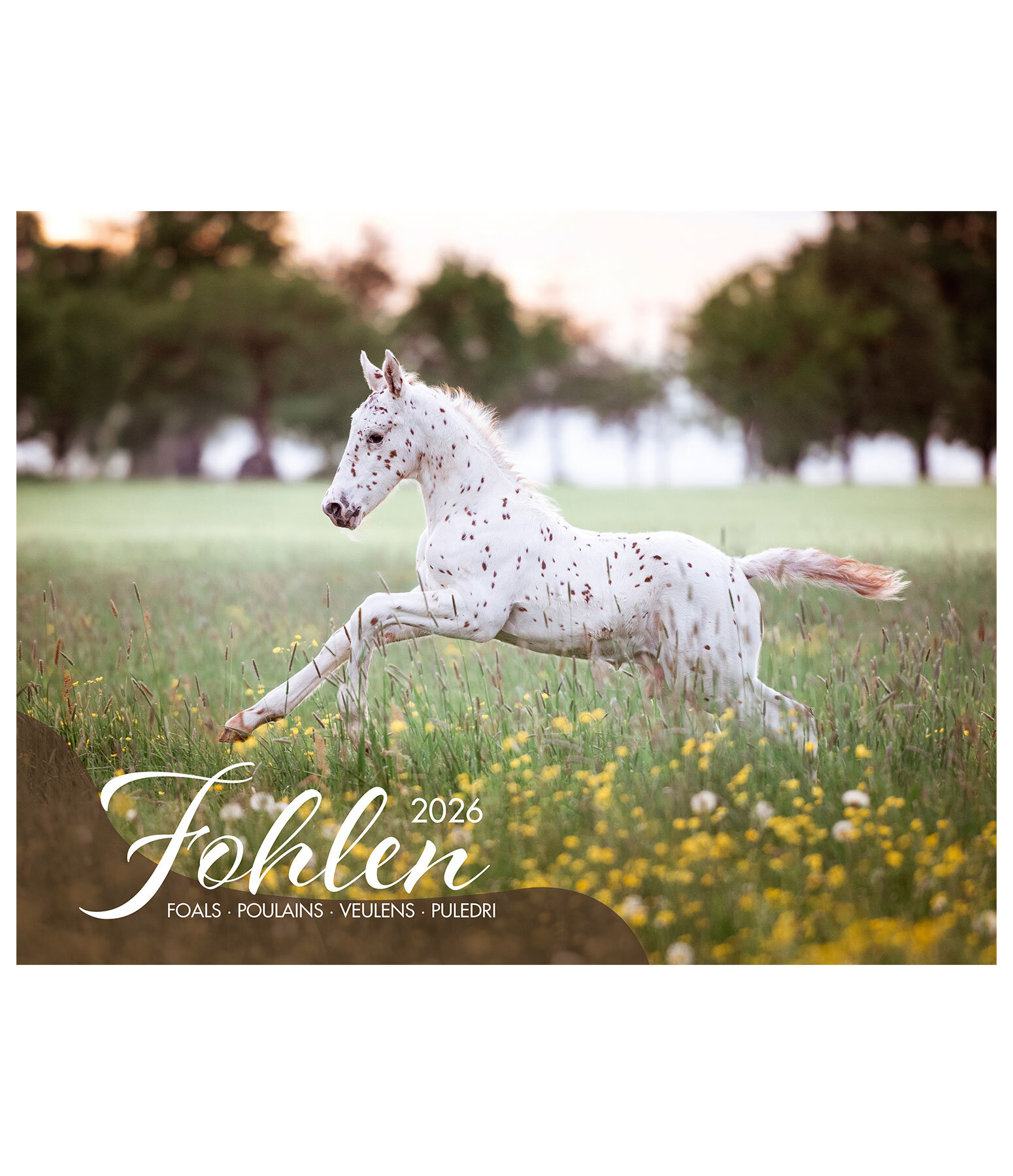 Calendrier Poulains 2026