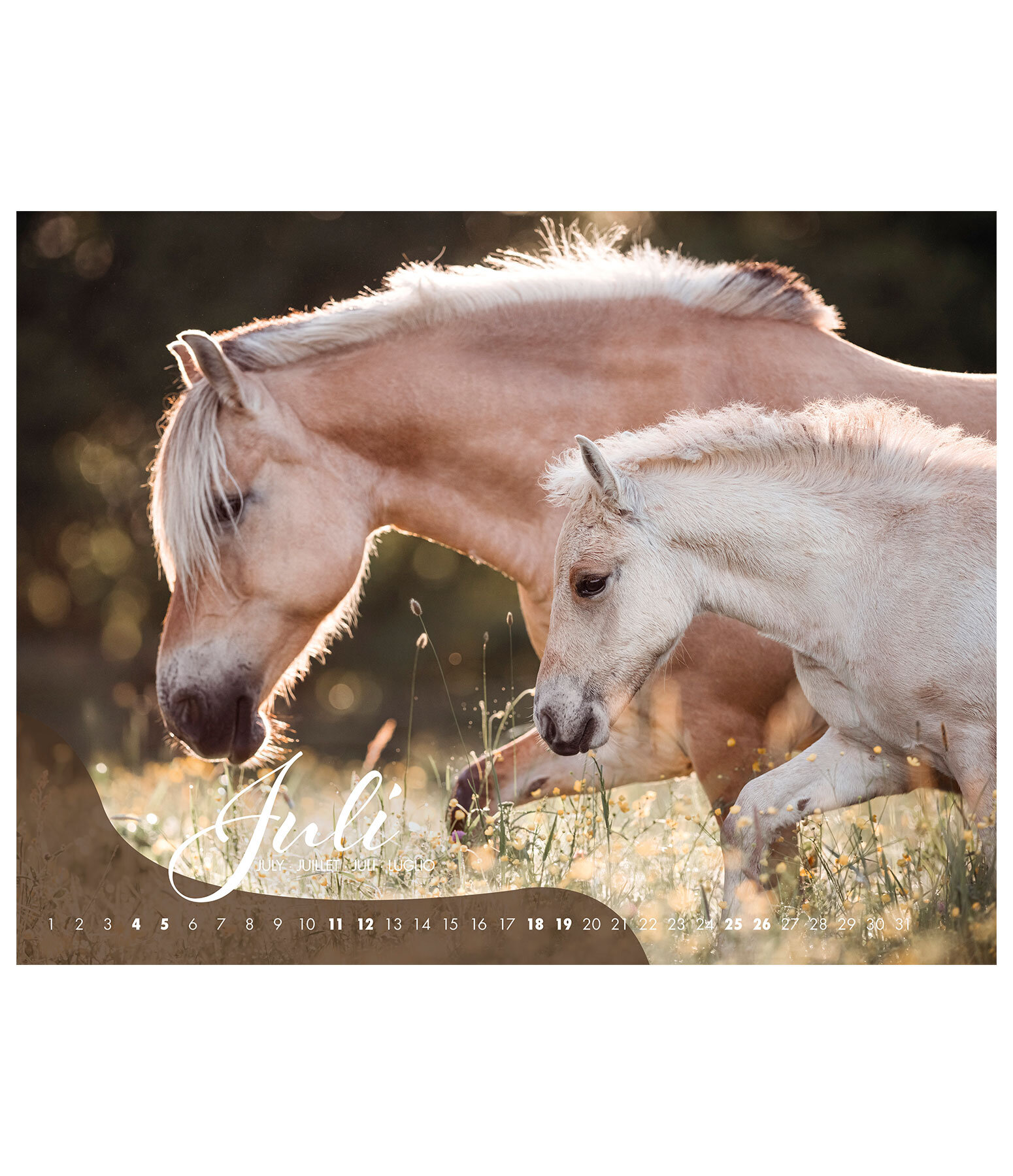 Calendrier Poulains 2026