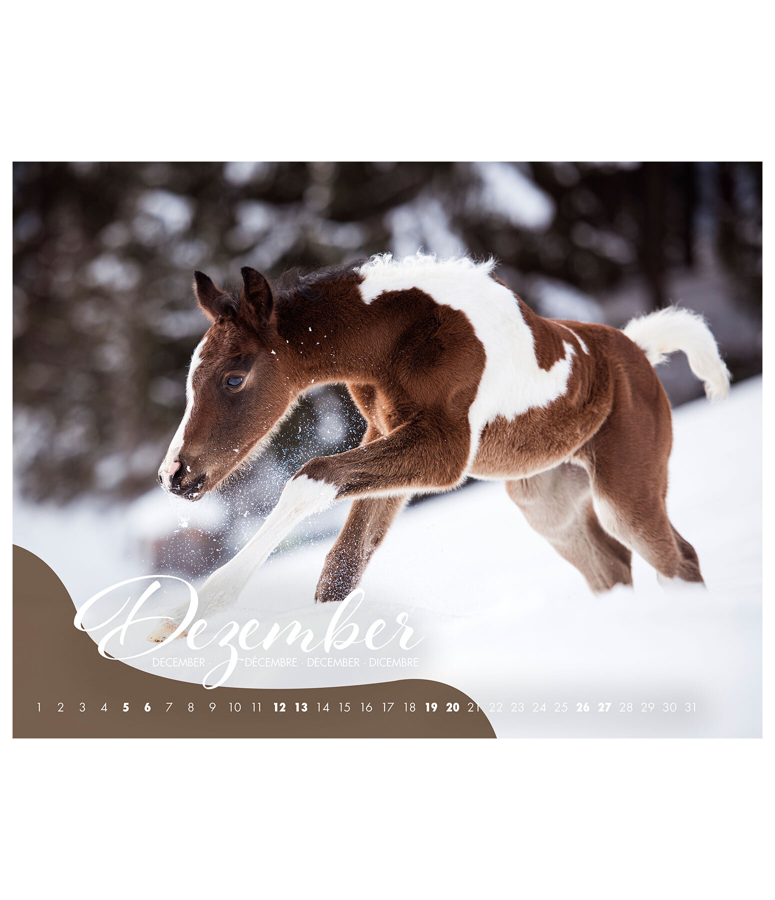 Calendrier Poulains 2026