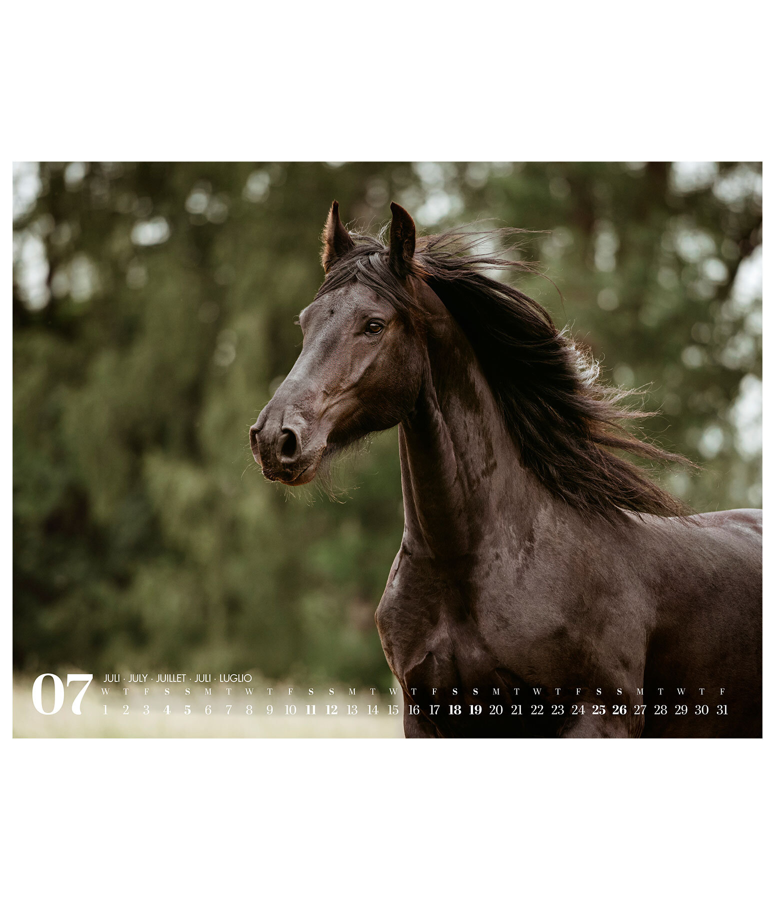 Calendrier frisons 2026