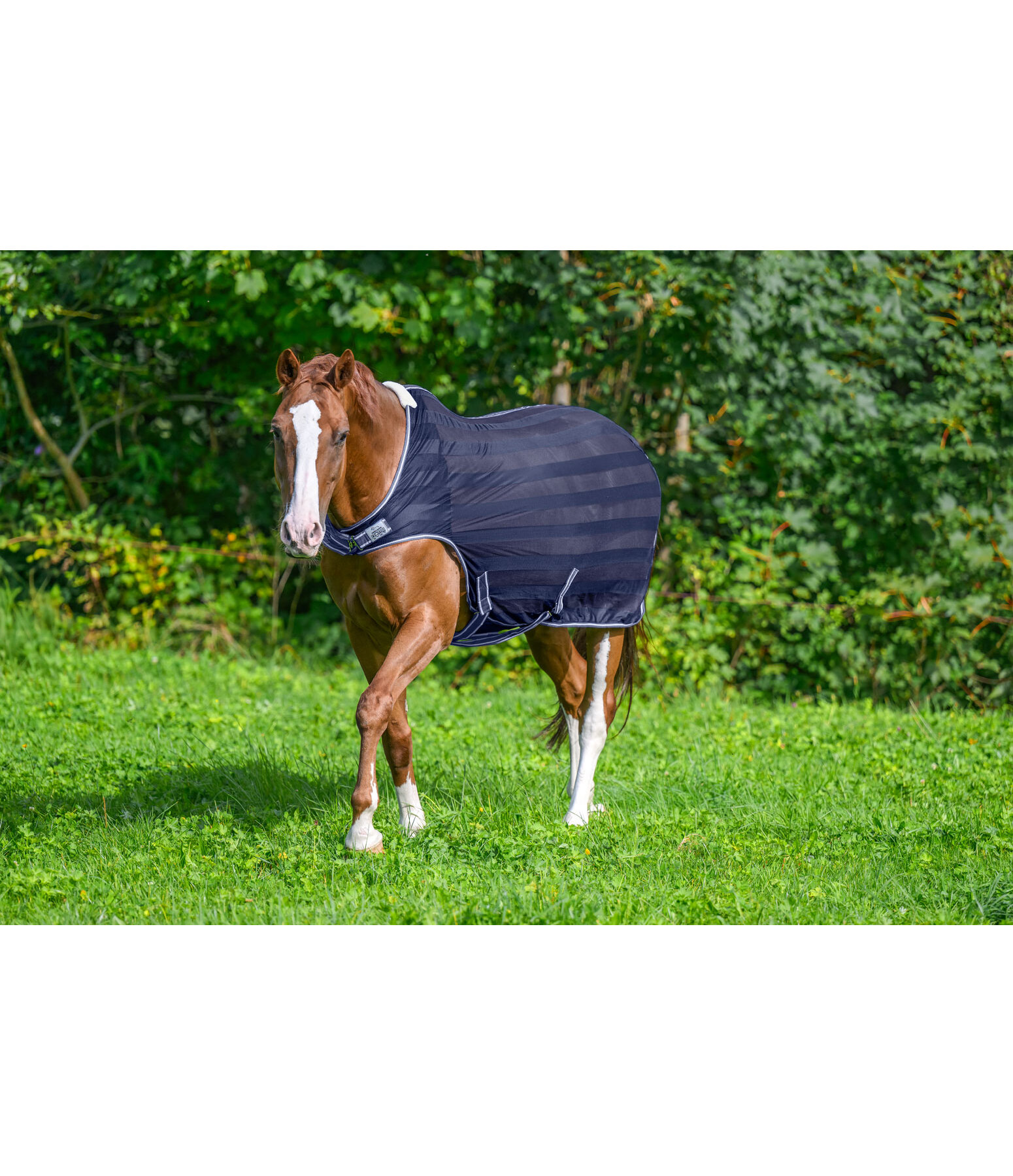 Chemise de marcheur anti-mouches  Economy Light