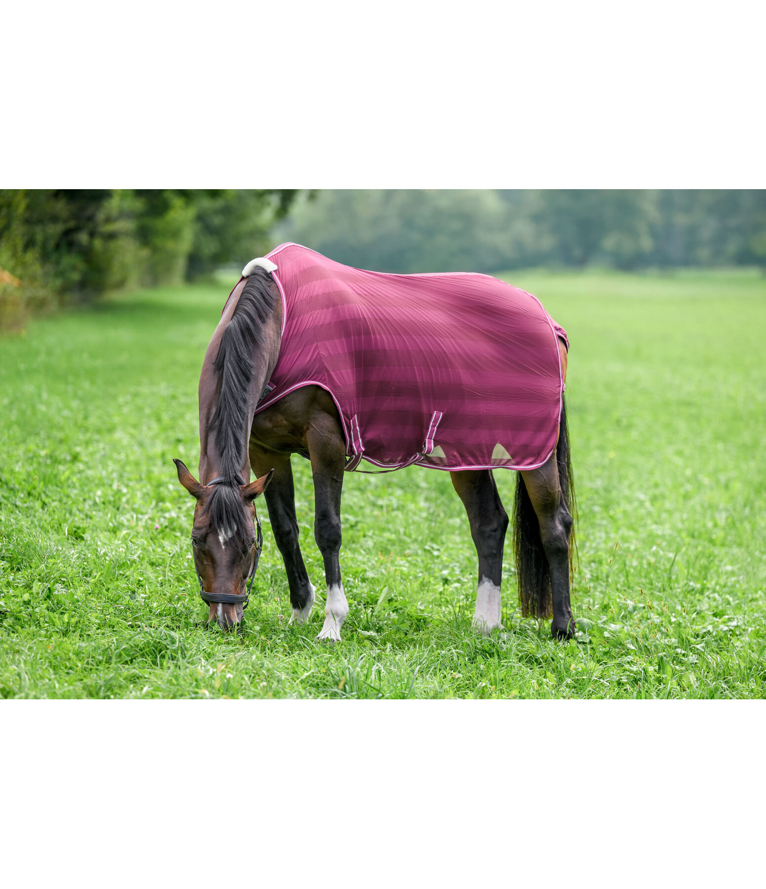 Chemise de marcheur anti-mouches  Economy Light