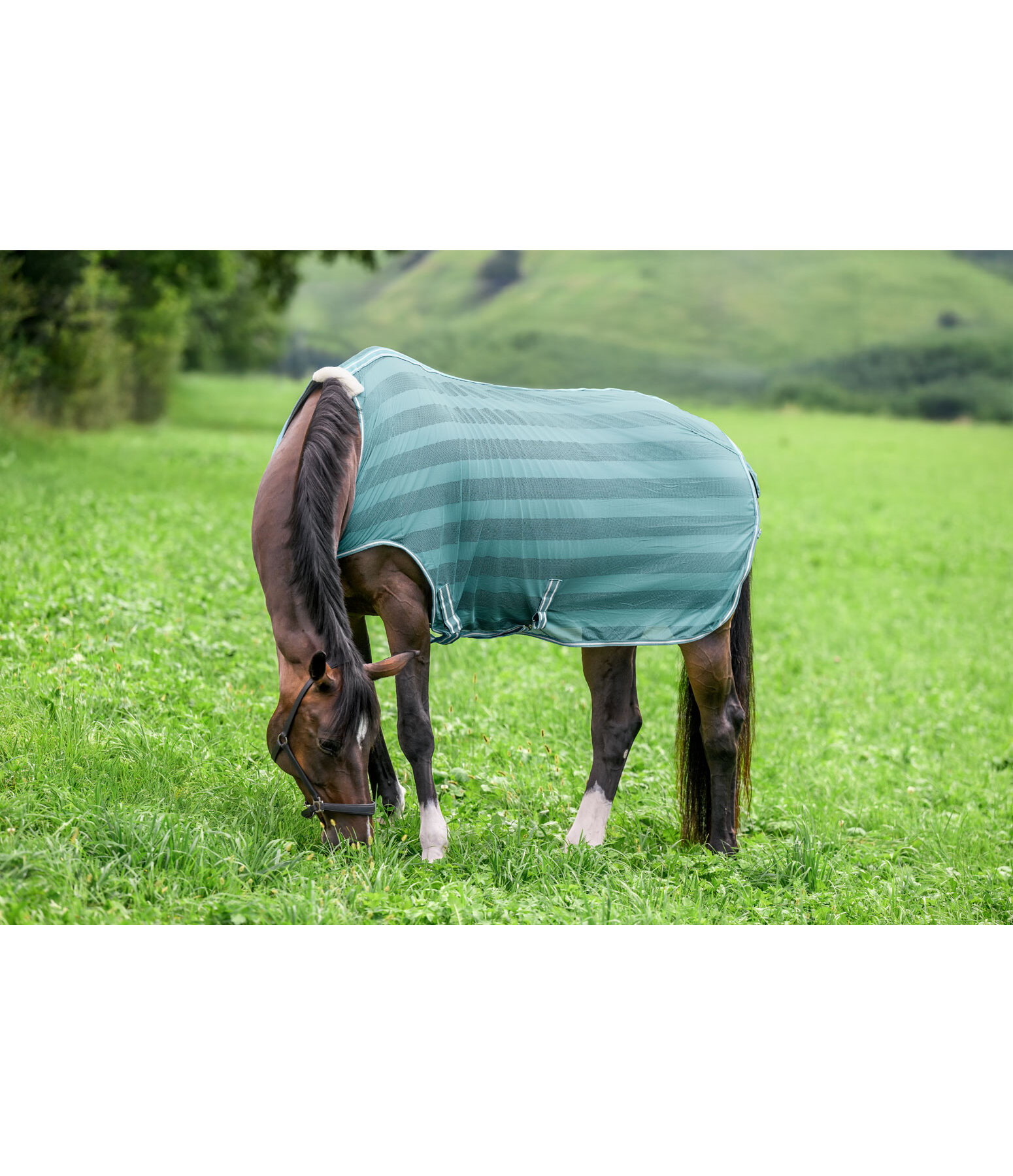 Chemise de marcheur anti-mouches  Economy Light