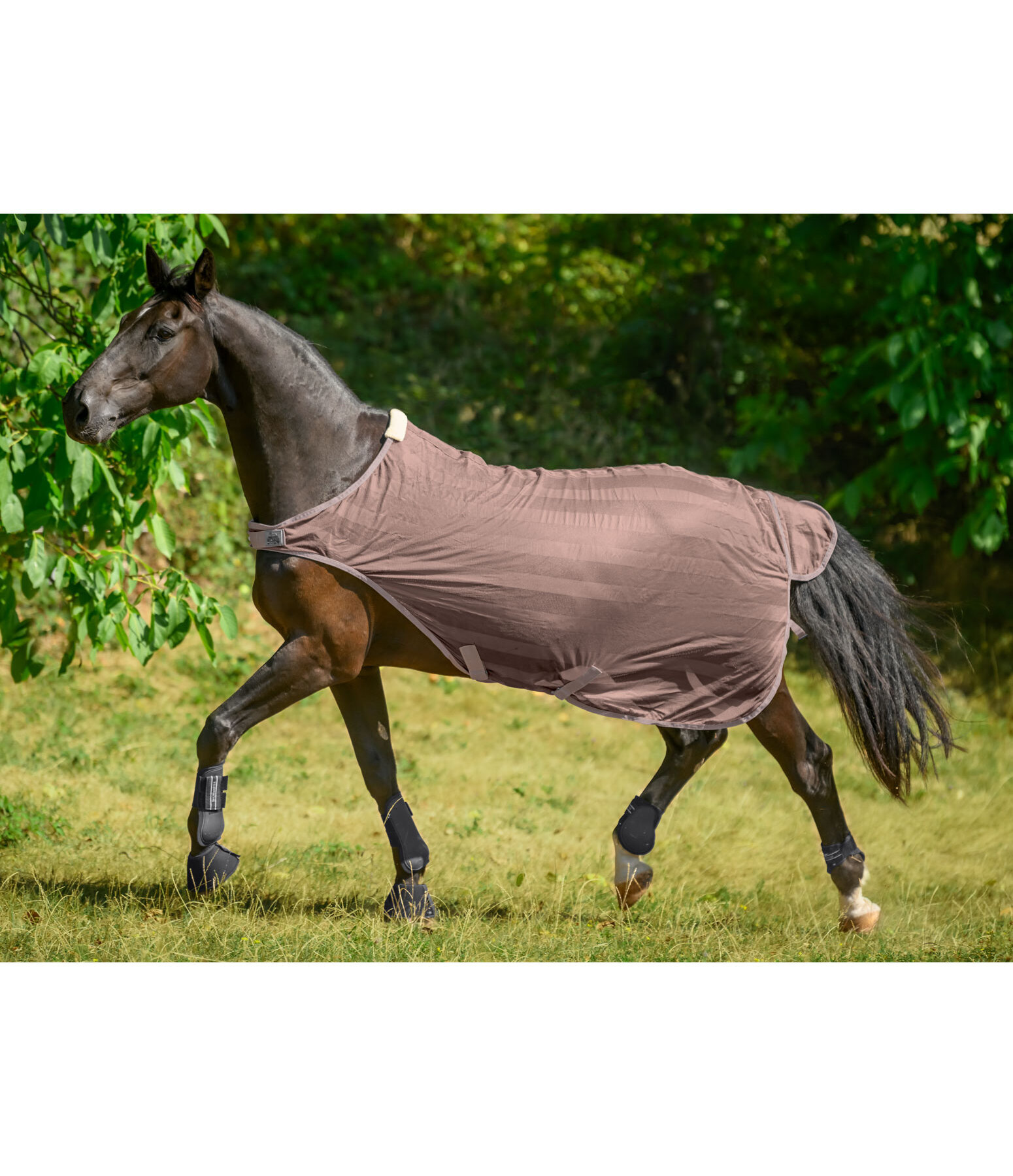 Chemise de marcheur anti-mouches  Economy Light