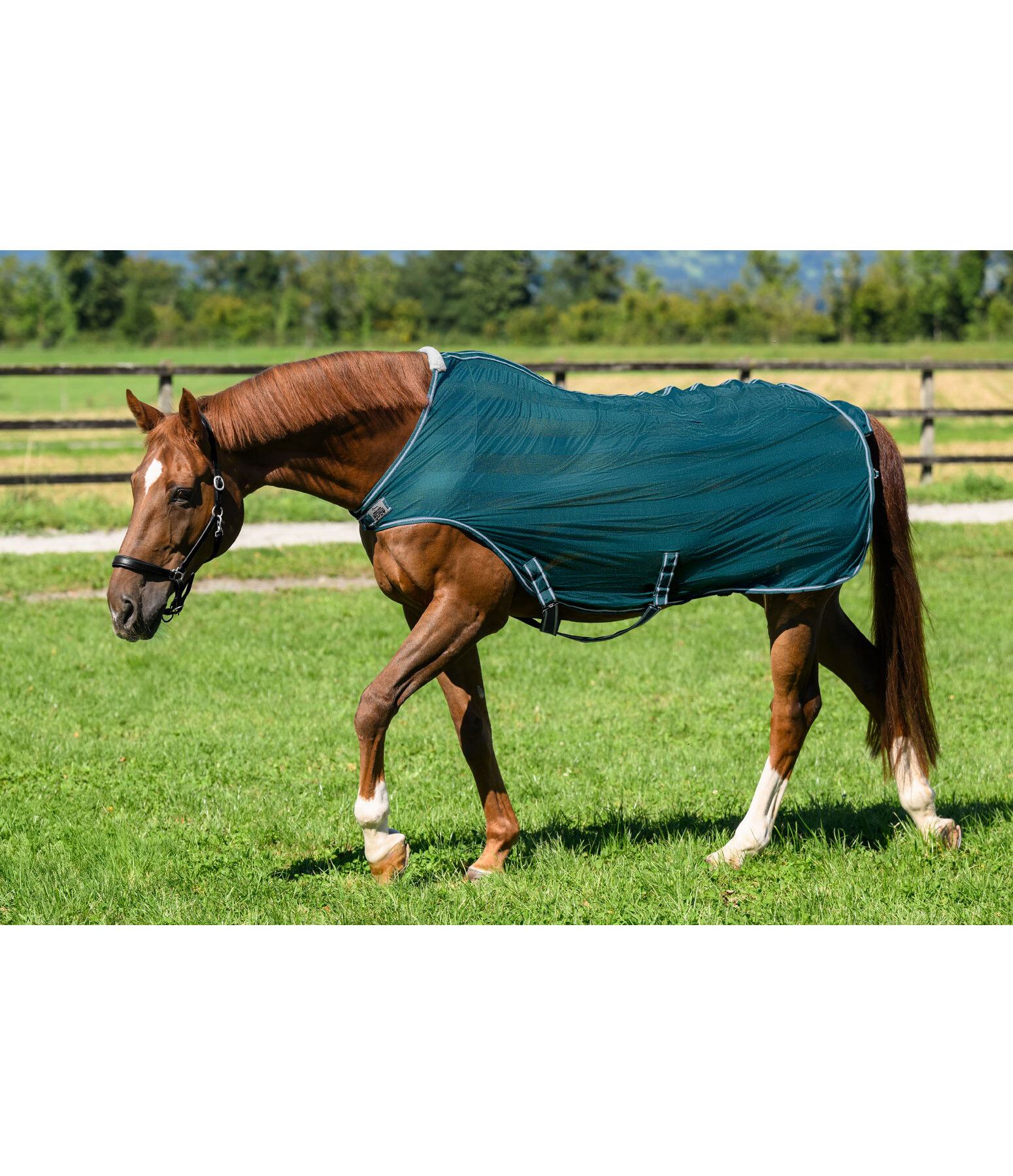 Chemise de marcheur anti-mouches  Economy Light