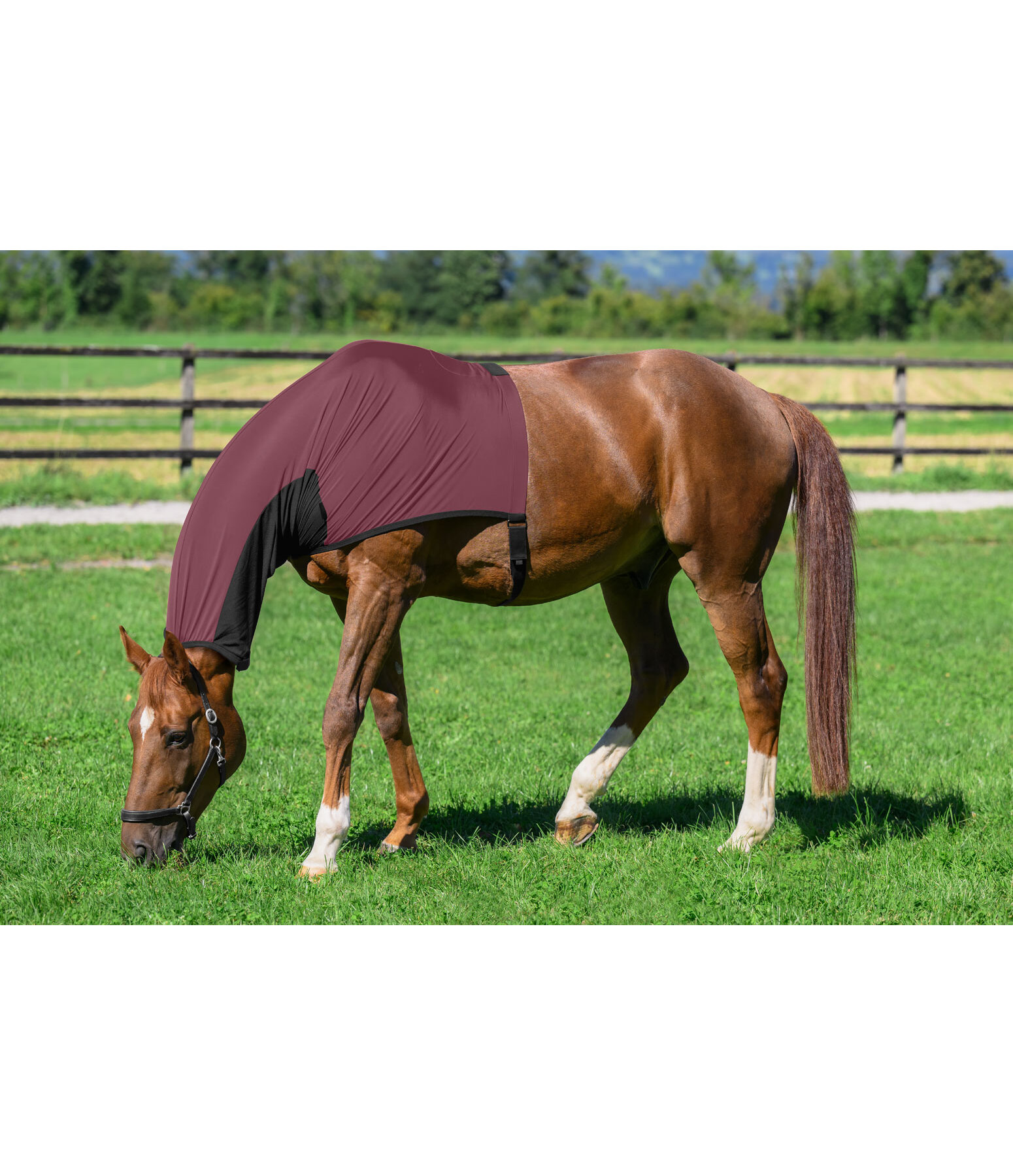 Couvre-cou anti-mouches et anti-ecz�ma  Stretch Comfort